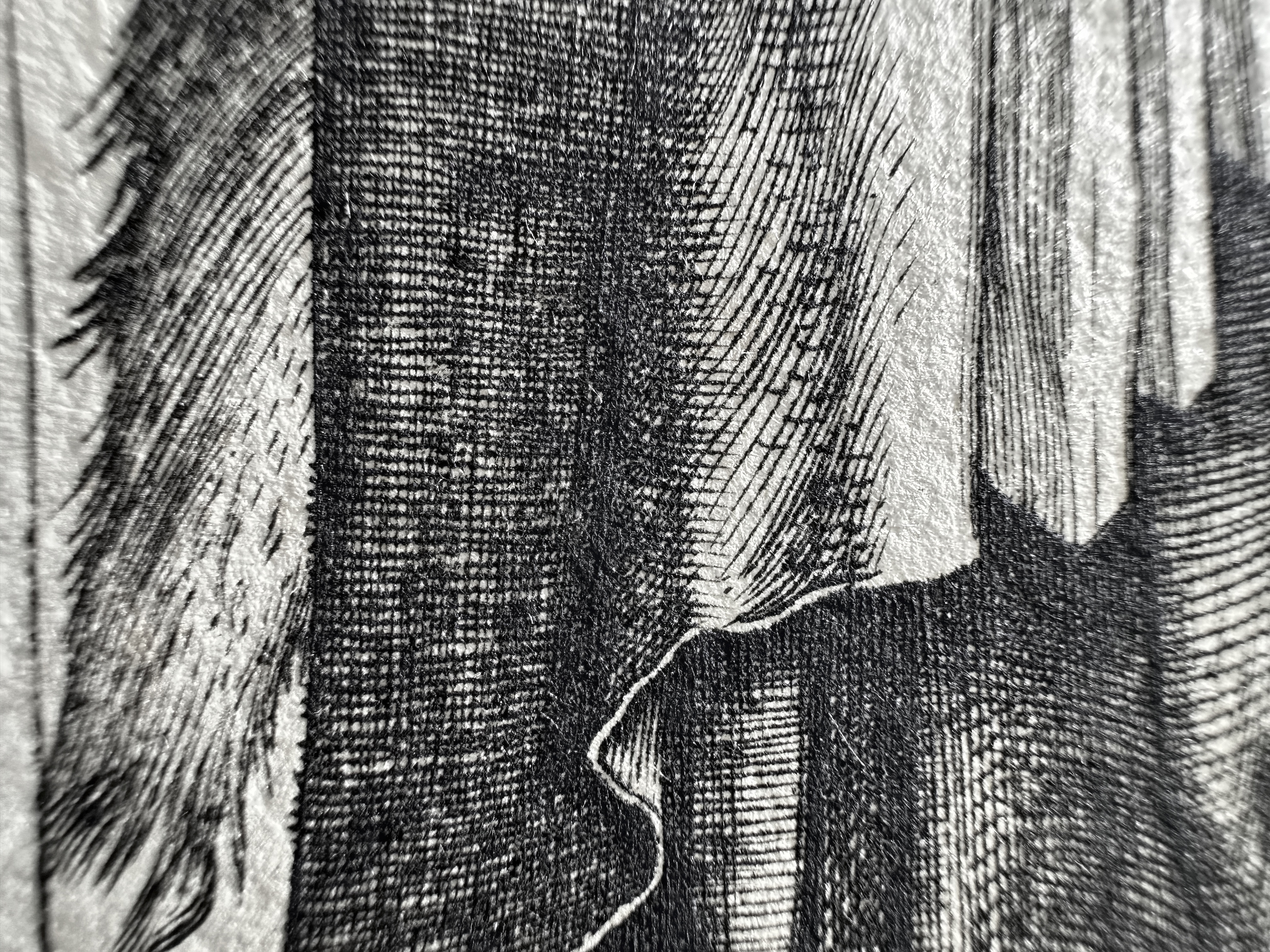 Fig.20 Macro Details