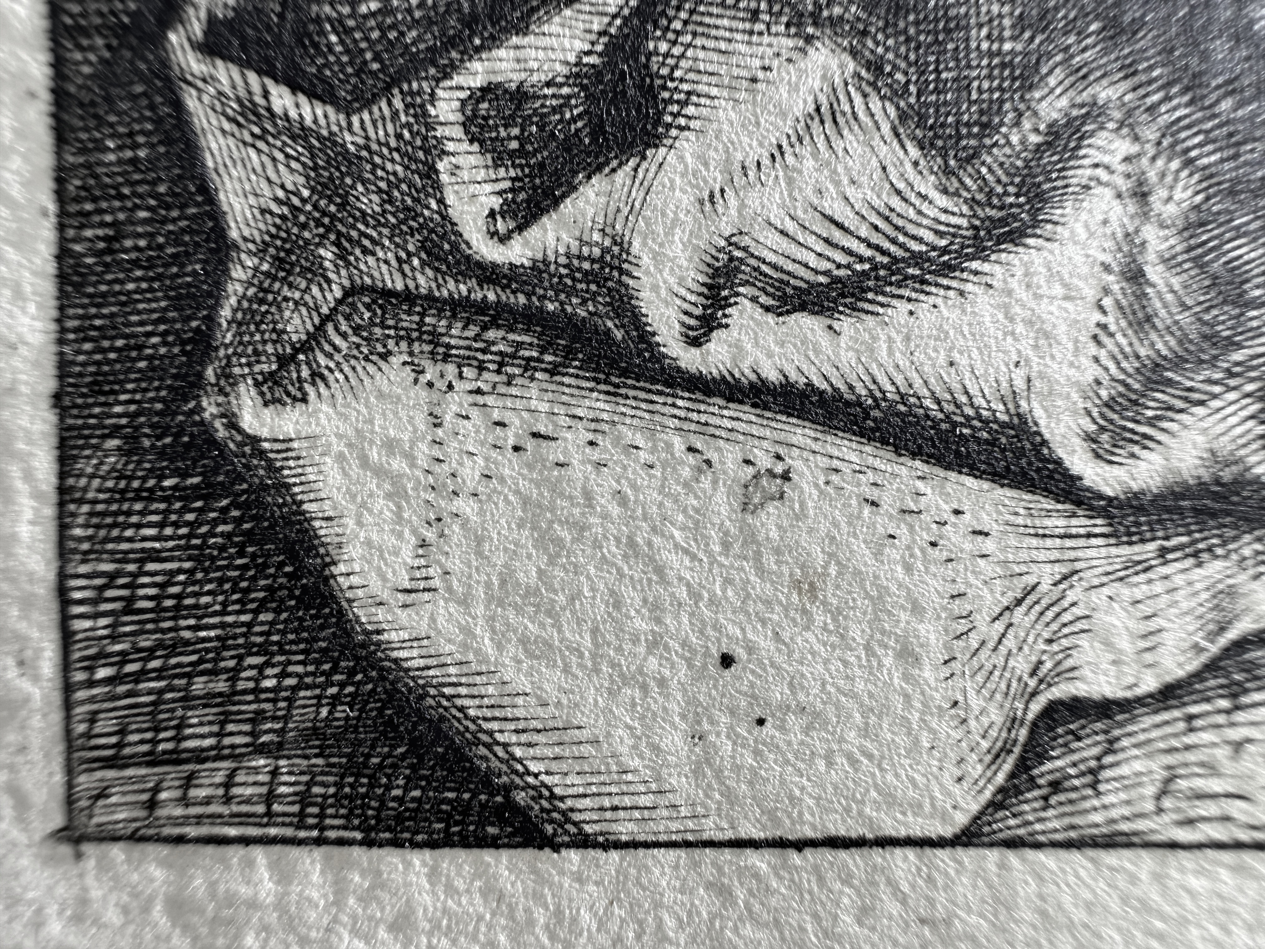 Fig.21 Macro Details