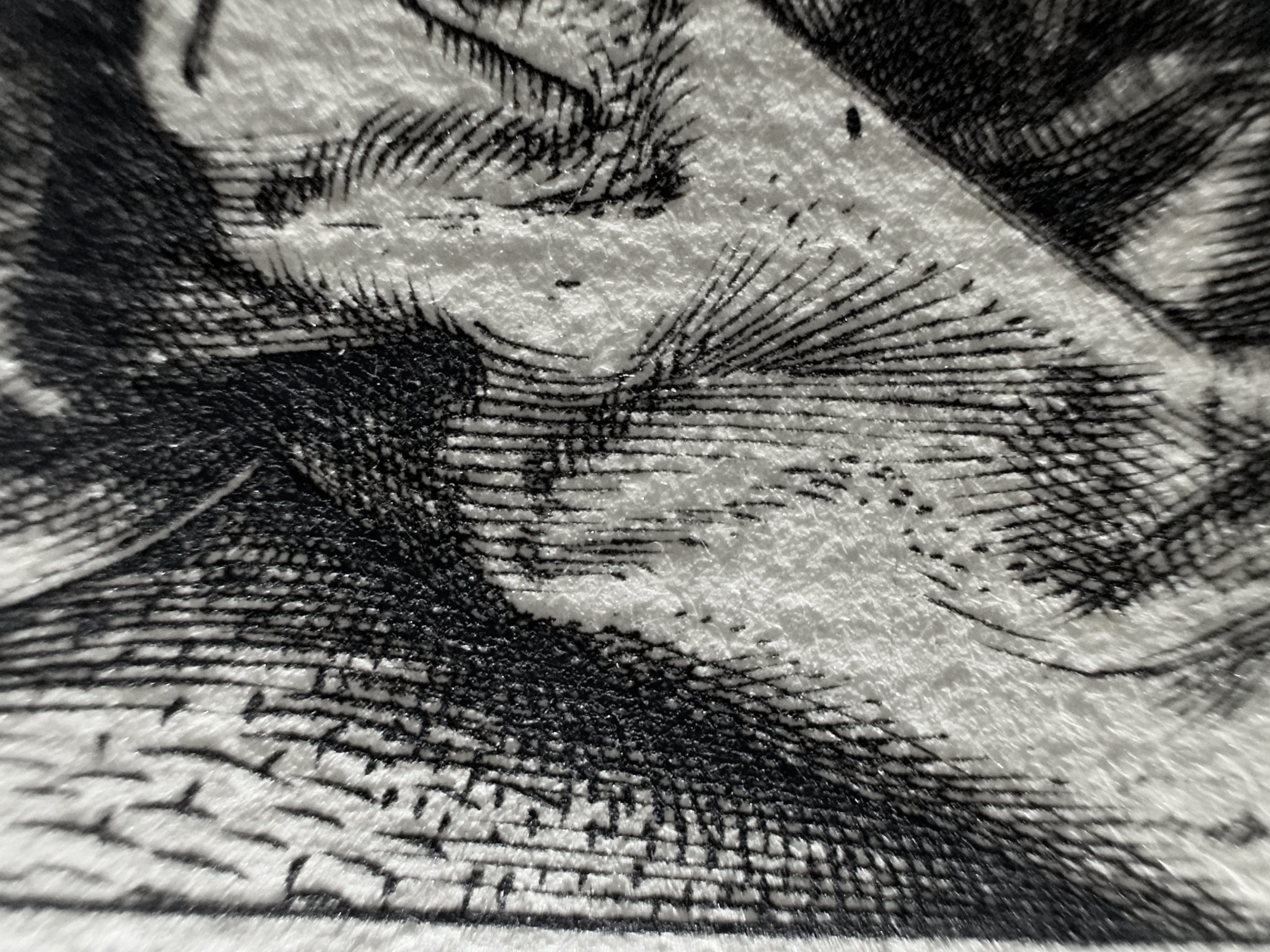 Fig.23 Macro Details