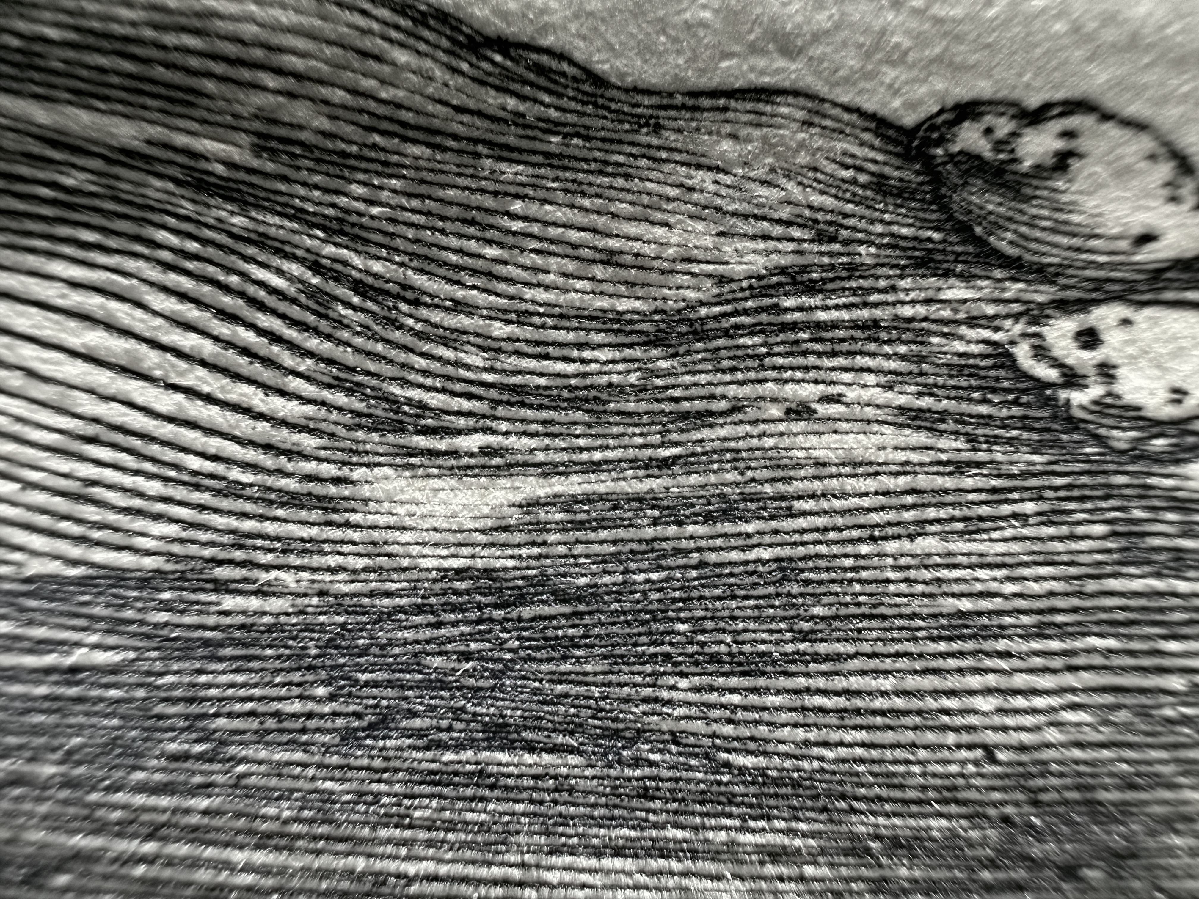 Fig.25 Macro Details