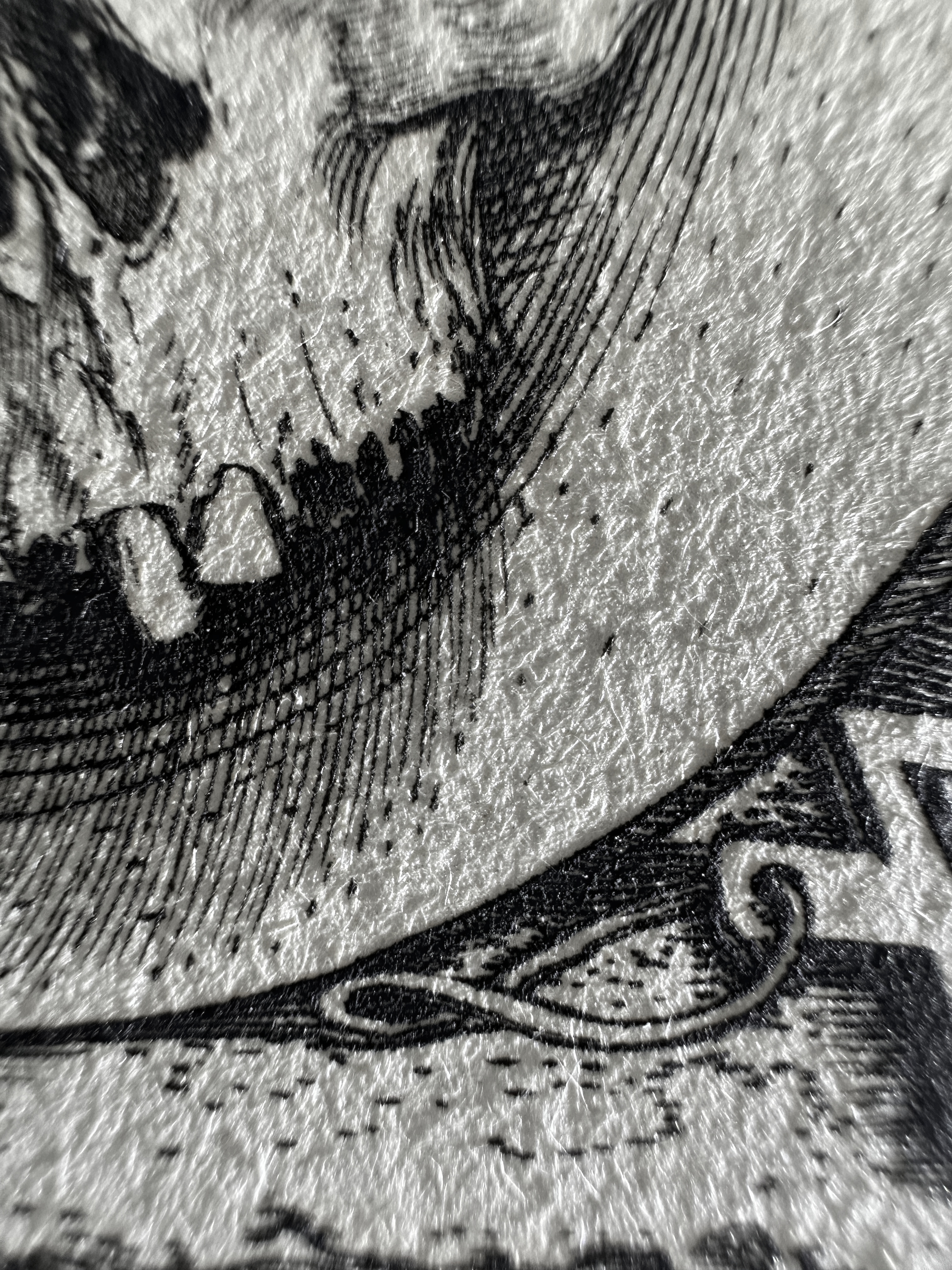 Fig.28 Macro Details