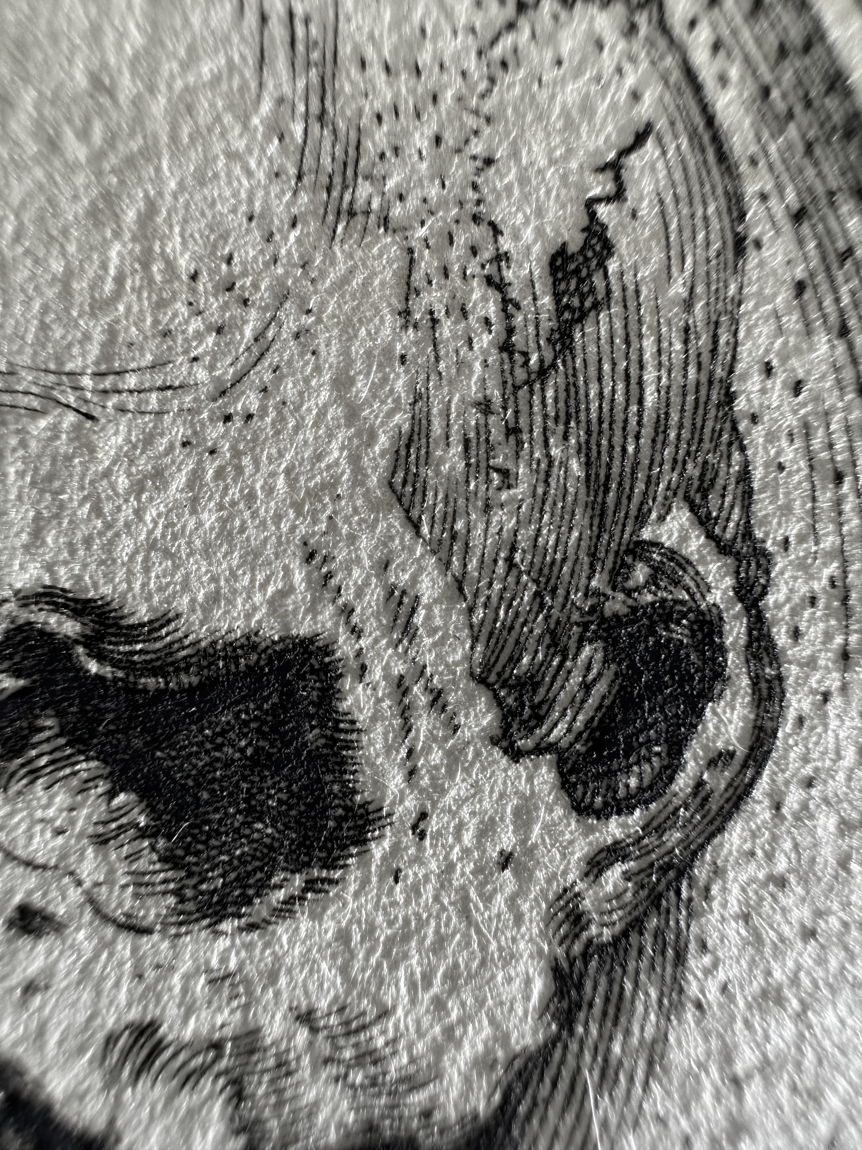 Fig.29 Macro Details