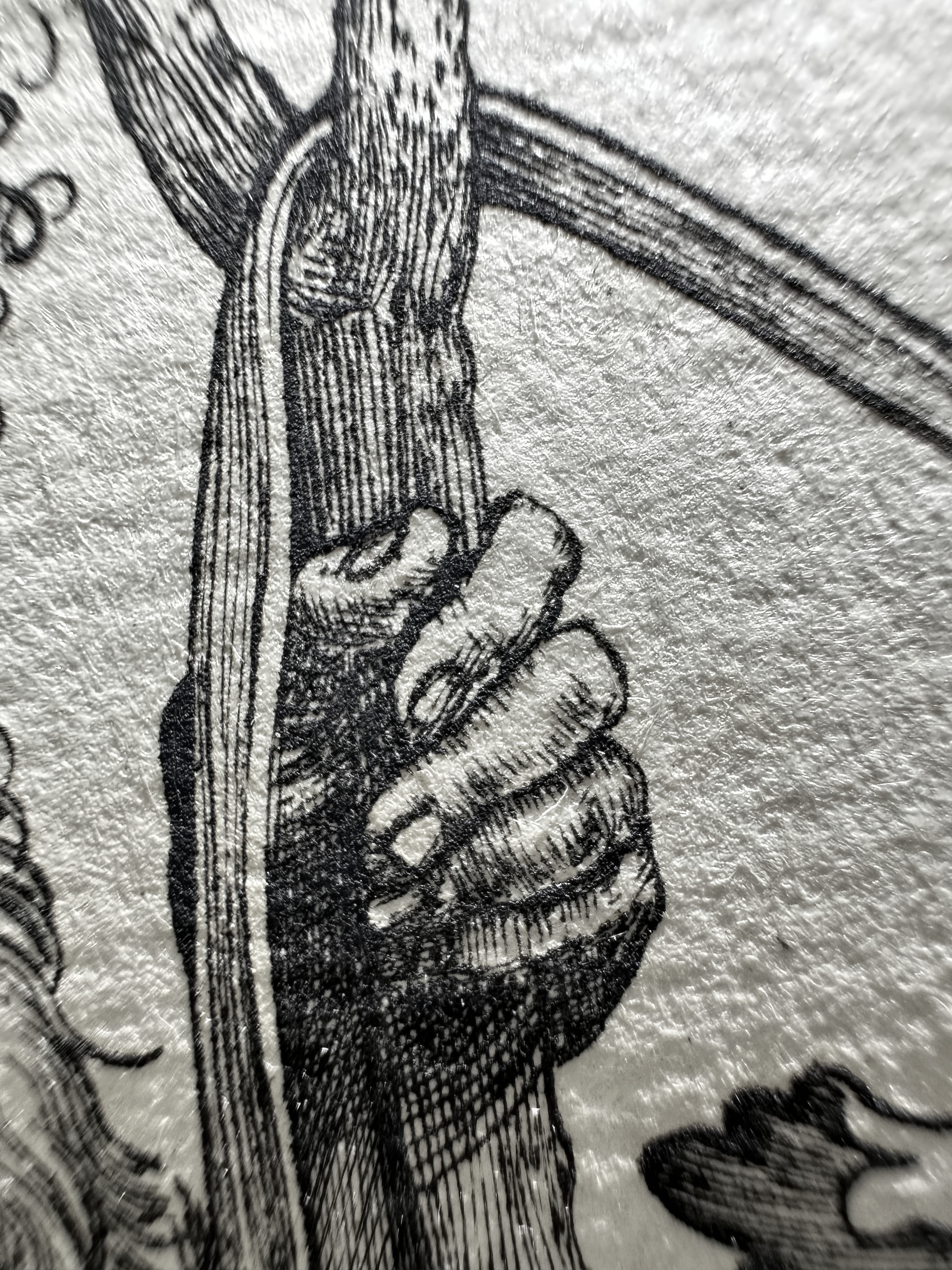 Fig.33 Macro Details