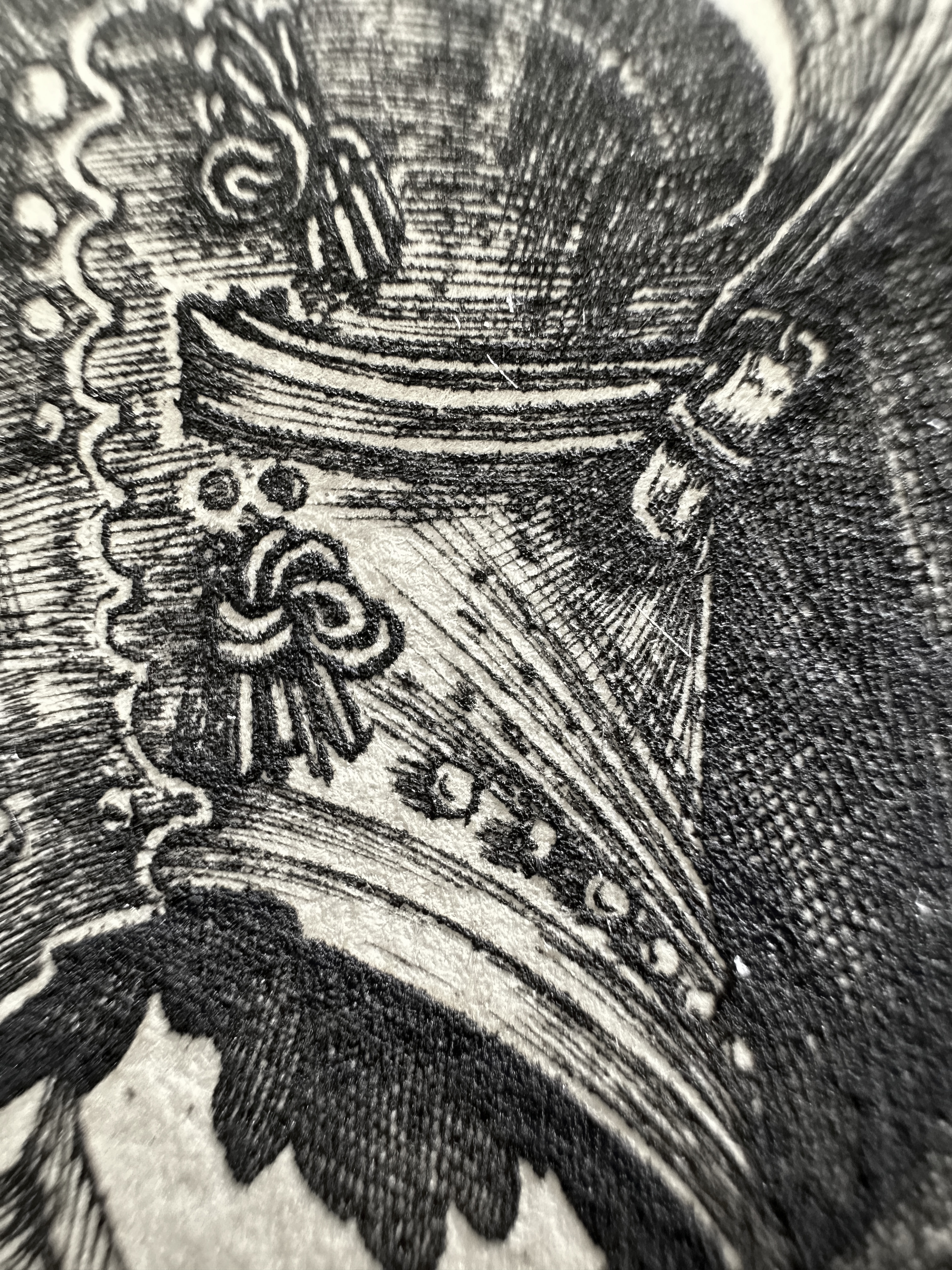 Fig.36 Macro Details