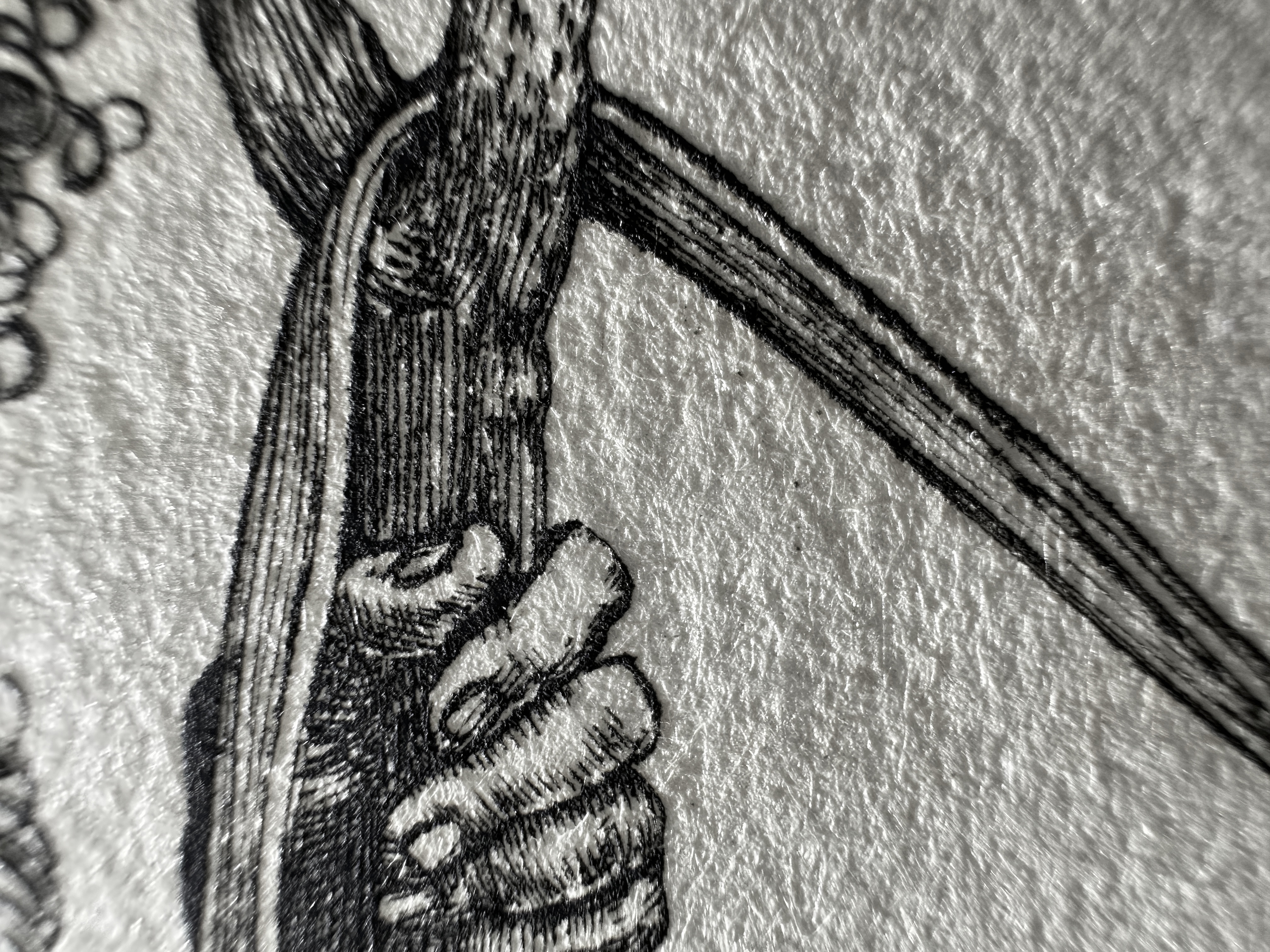 Fig.34 Macro Details