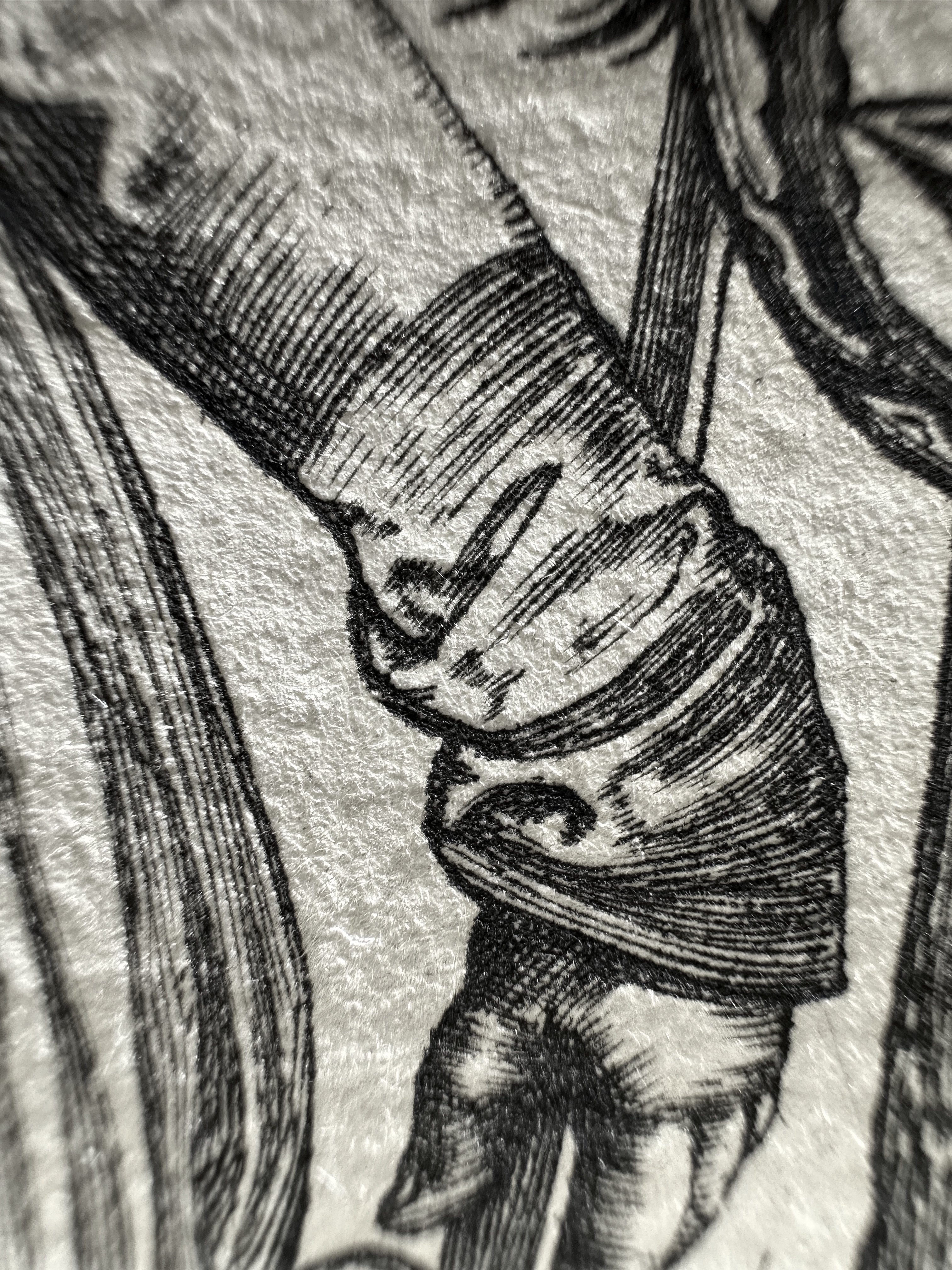 Fig.32 Macro Details