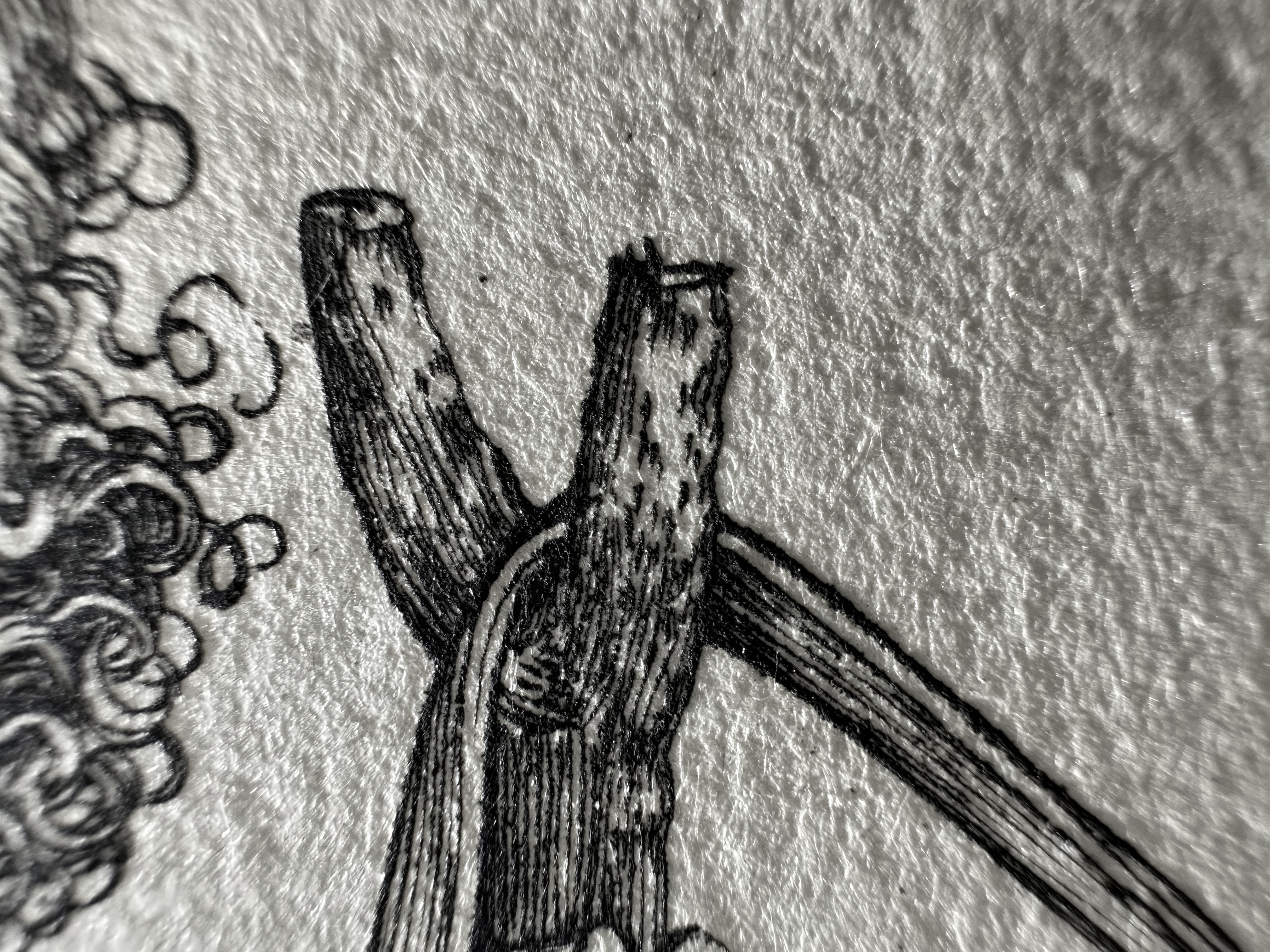 Fig.35 Macro Details