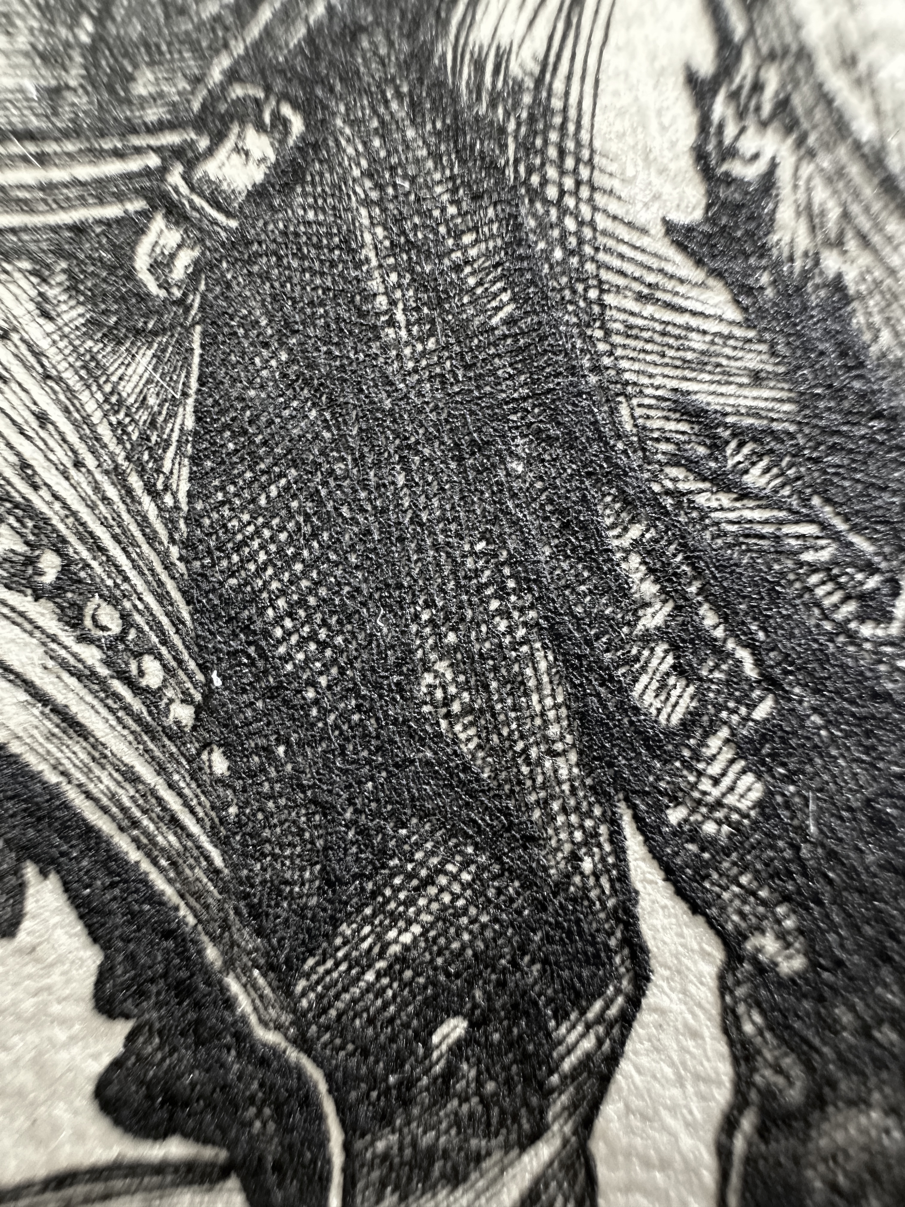 Fig.37 Macro Details