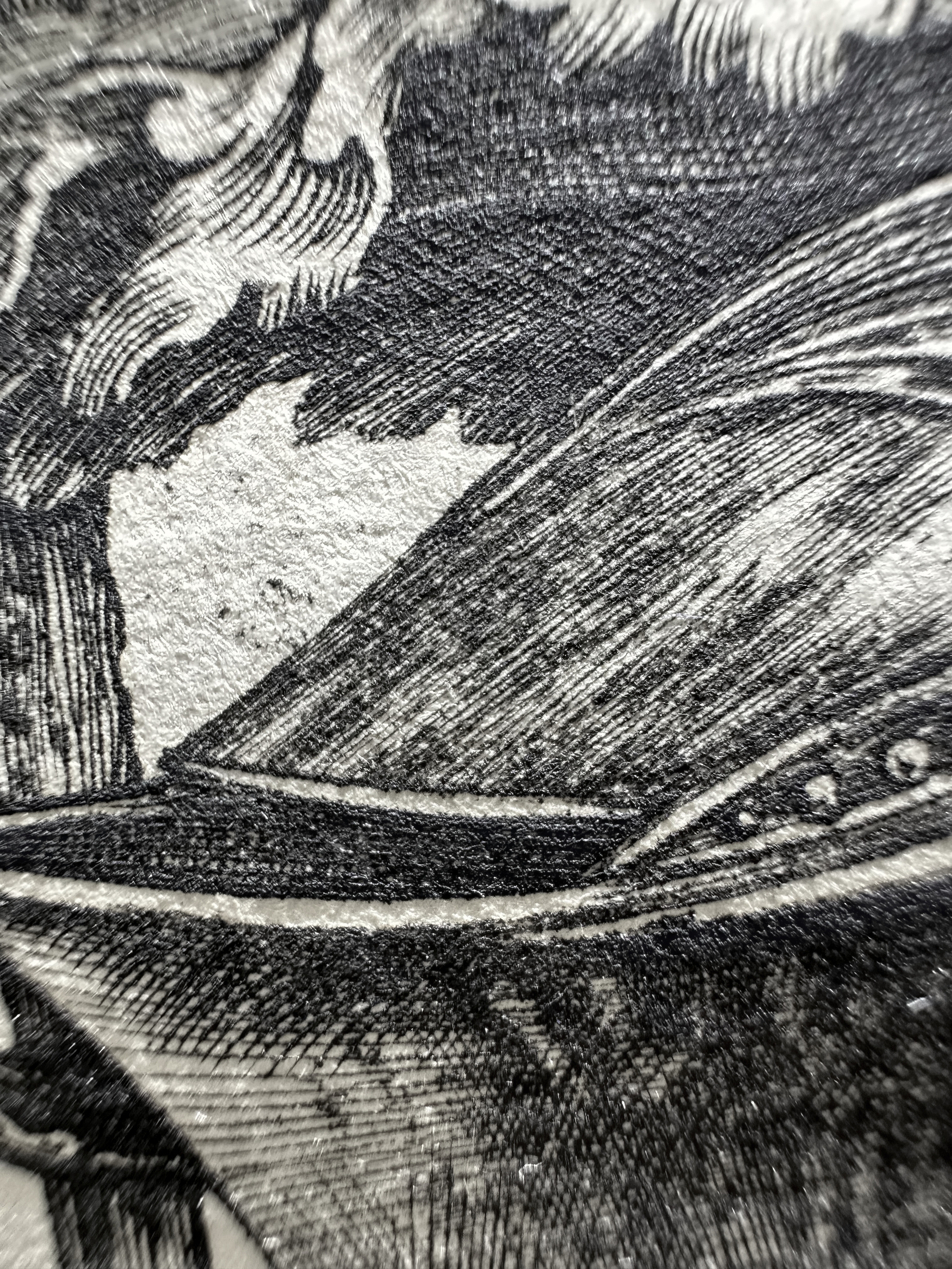 Fig.38 Macro Details