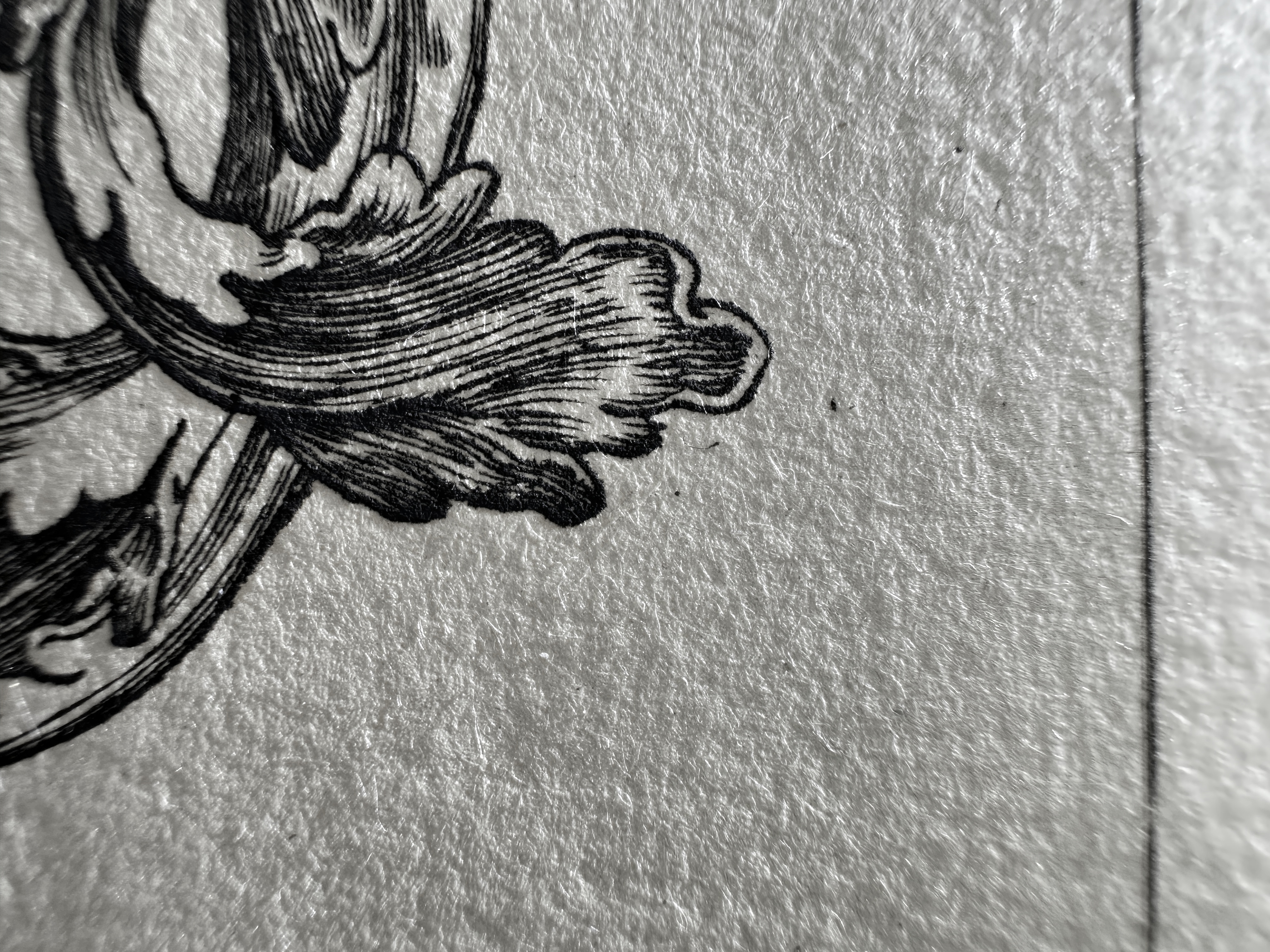 Fig.46 Macro Details