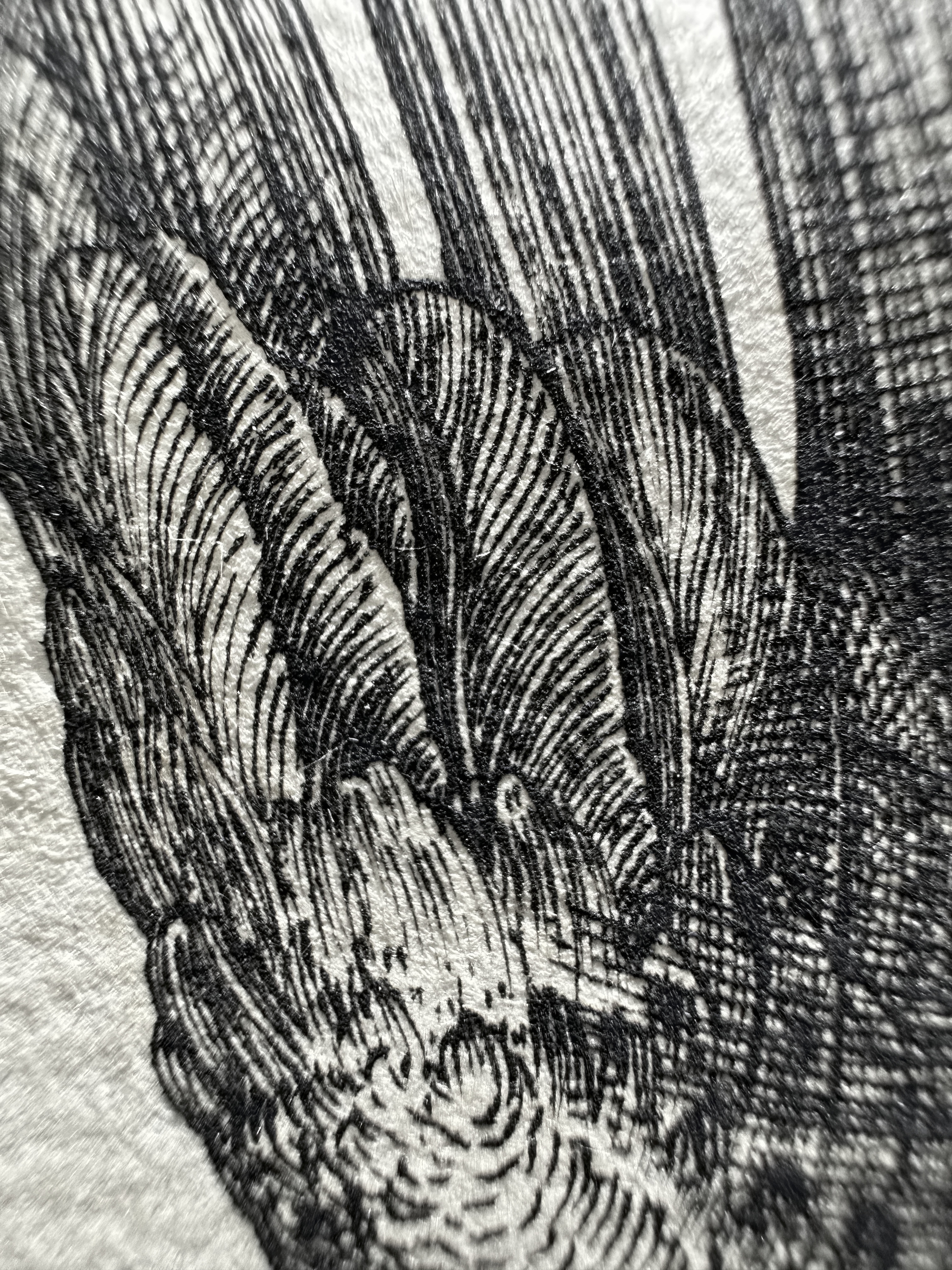 Fig.43 Macro Details