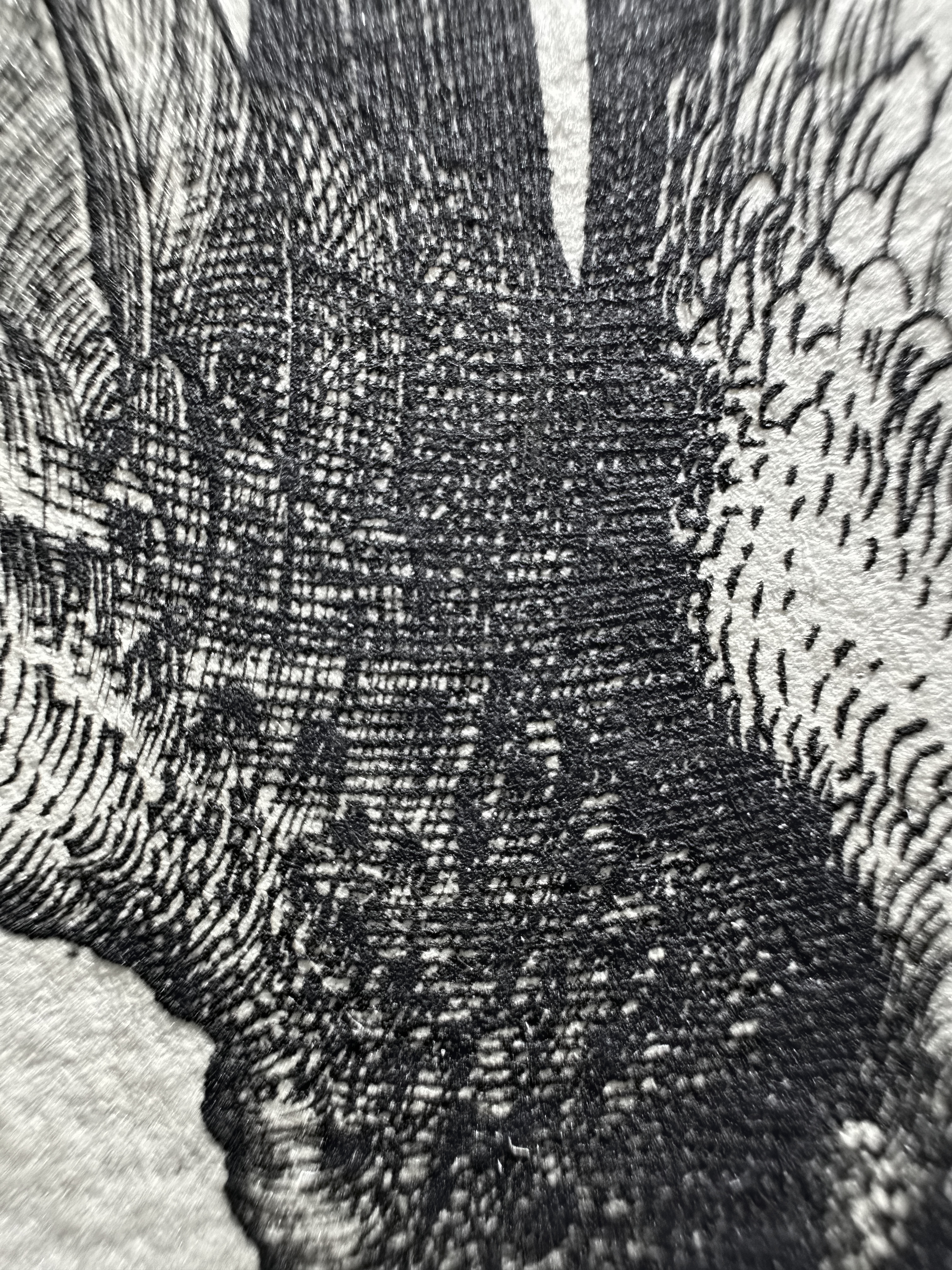 Fig.41 Macro Details