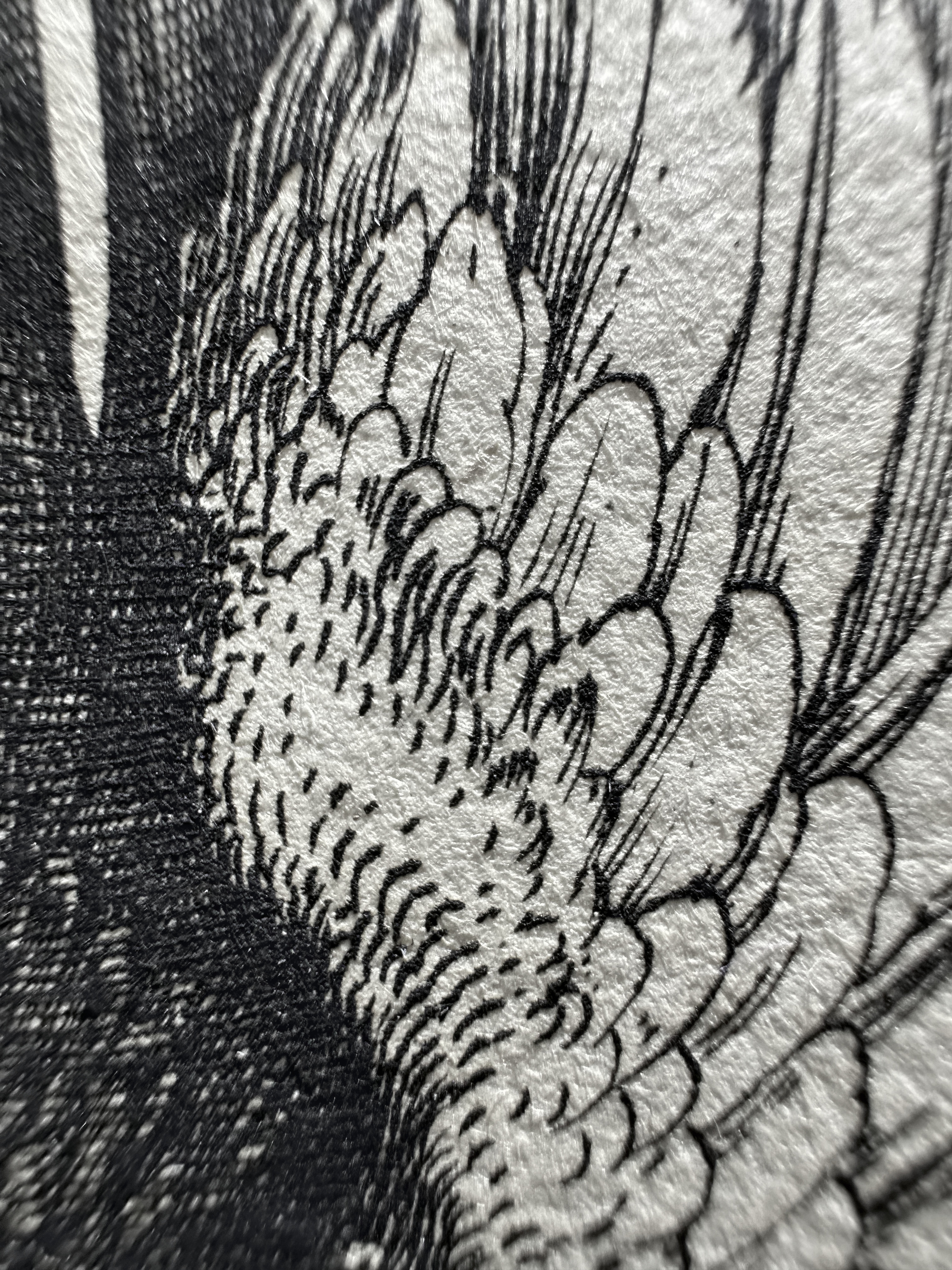 Fig.42 Macro Details