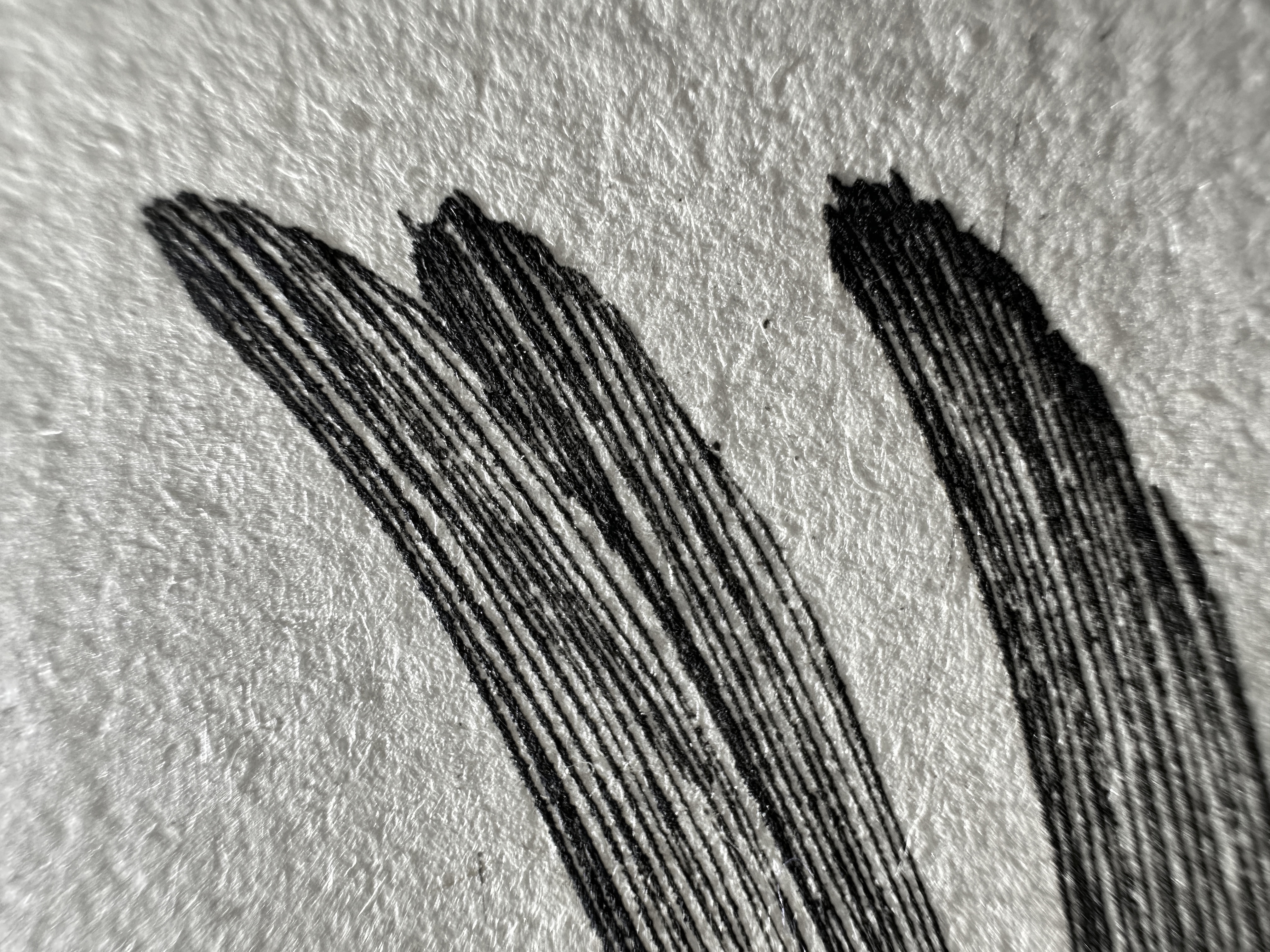 Fig.45 Macro Details