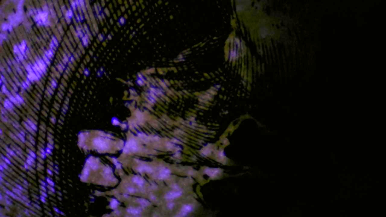 Transmitted light with UV fluorescence