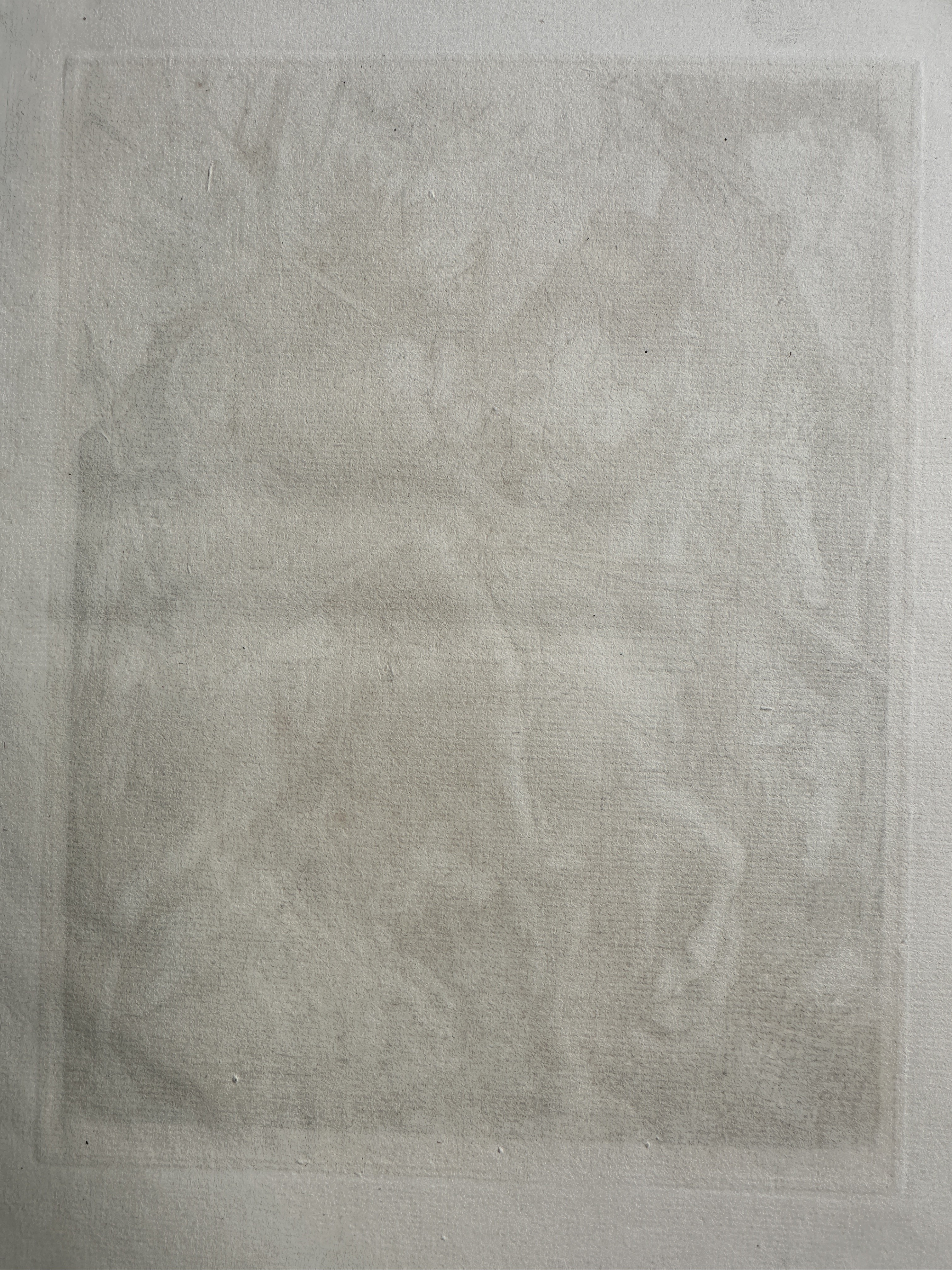 Full reverse (transmitted light)