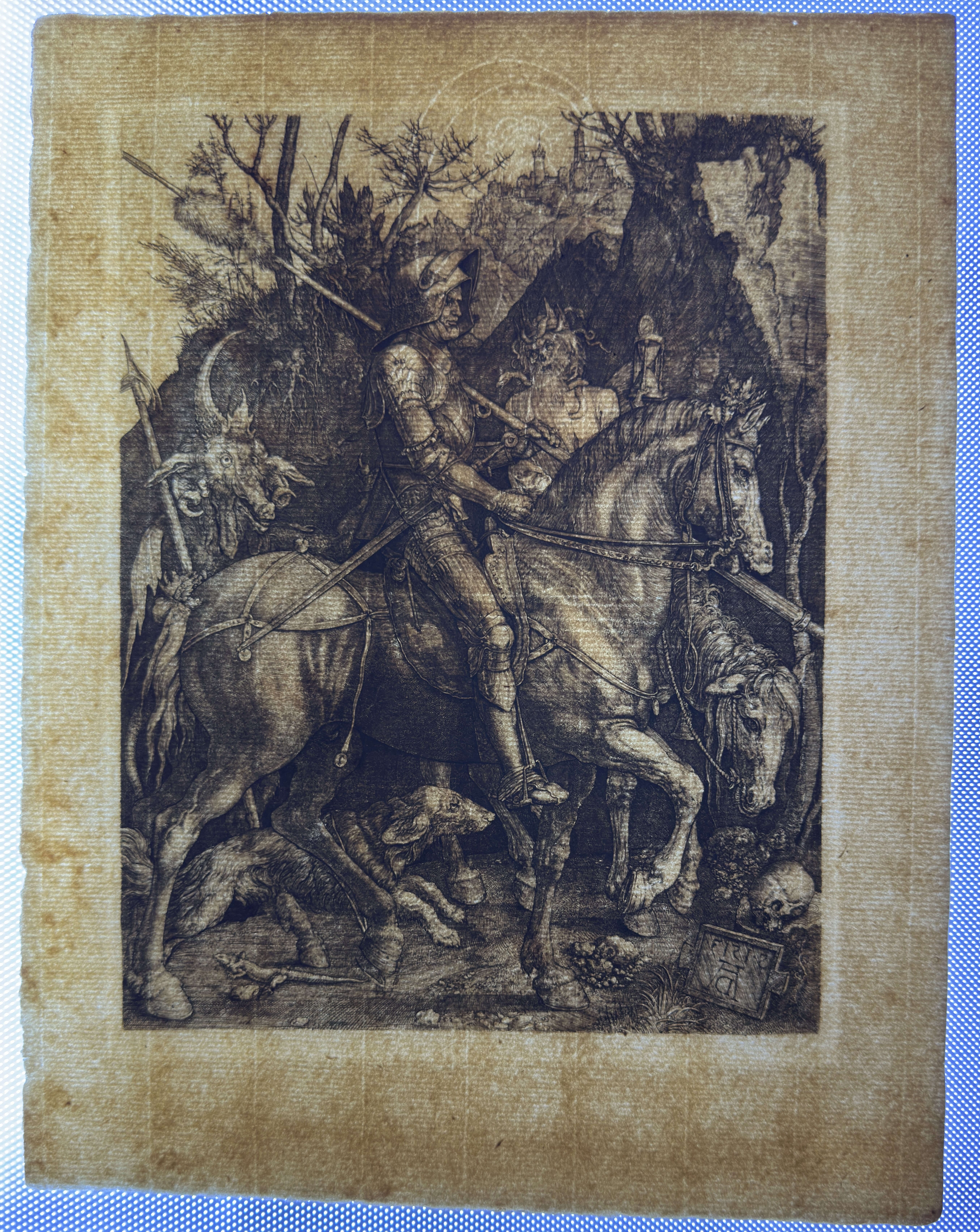 Full sheet, reverse in transmitted light