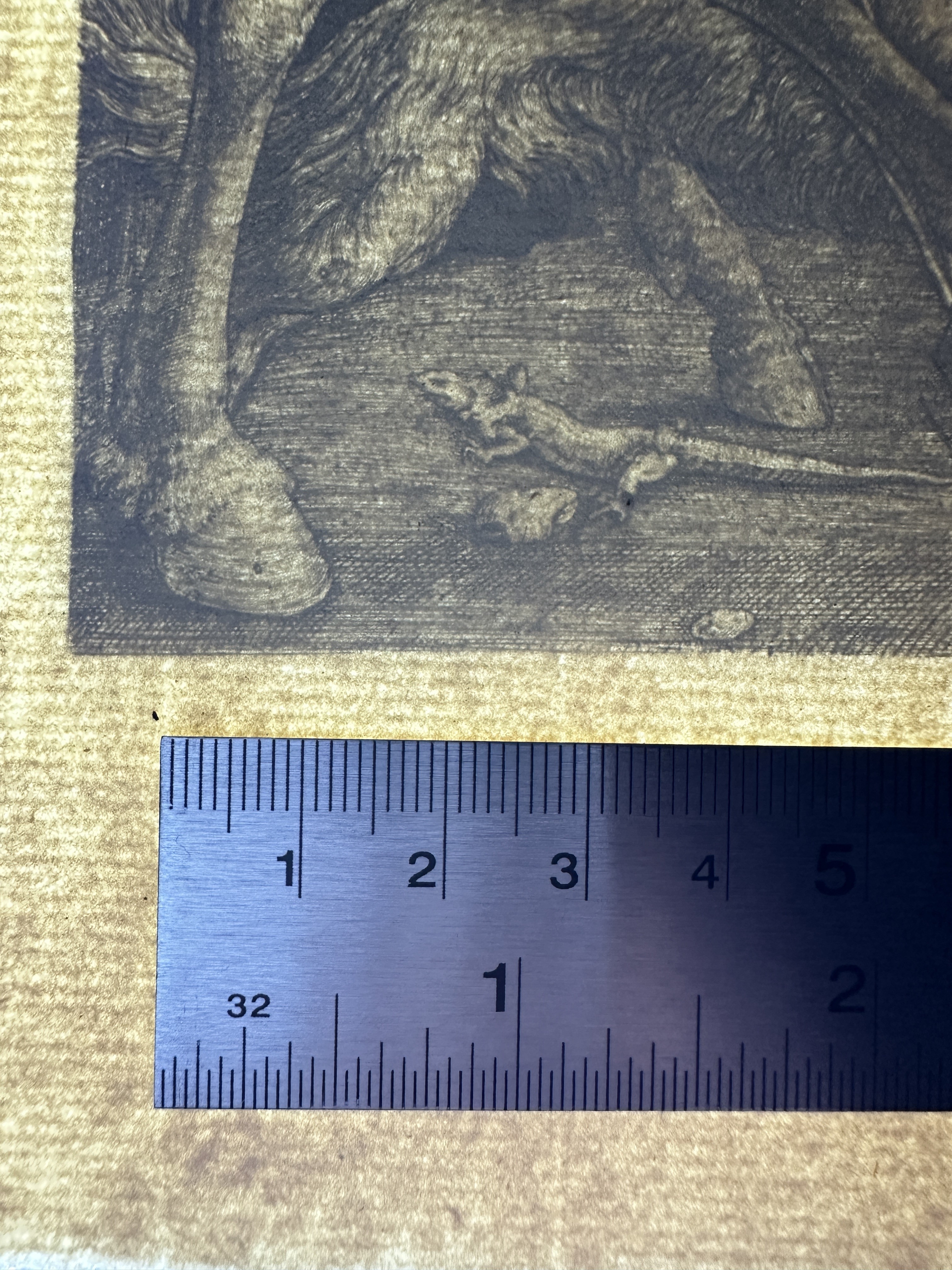 Chain lines Measurements
