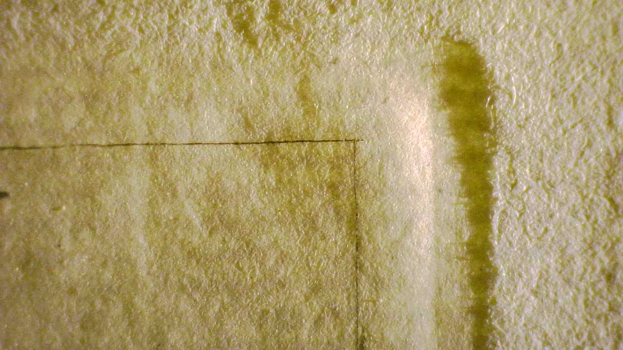 Fig. 5. Microscopic Structural Analysis