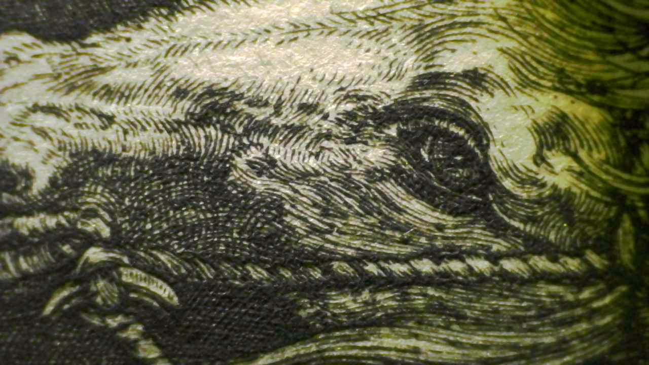 Fig.10 Micro Details