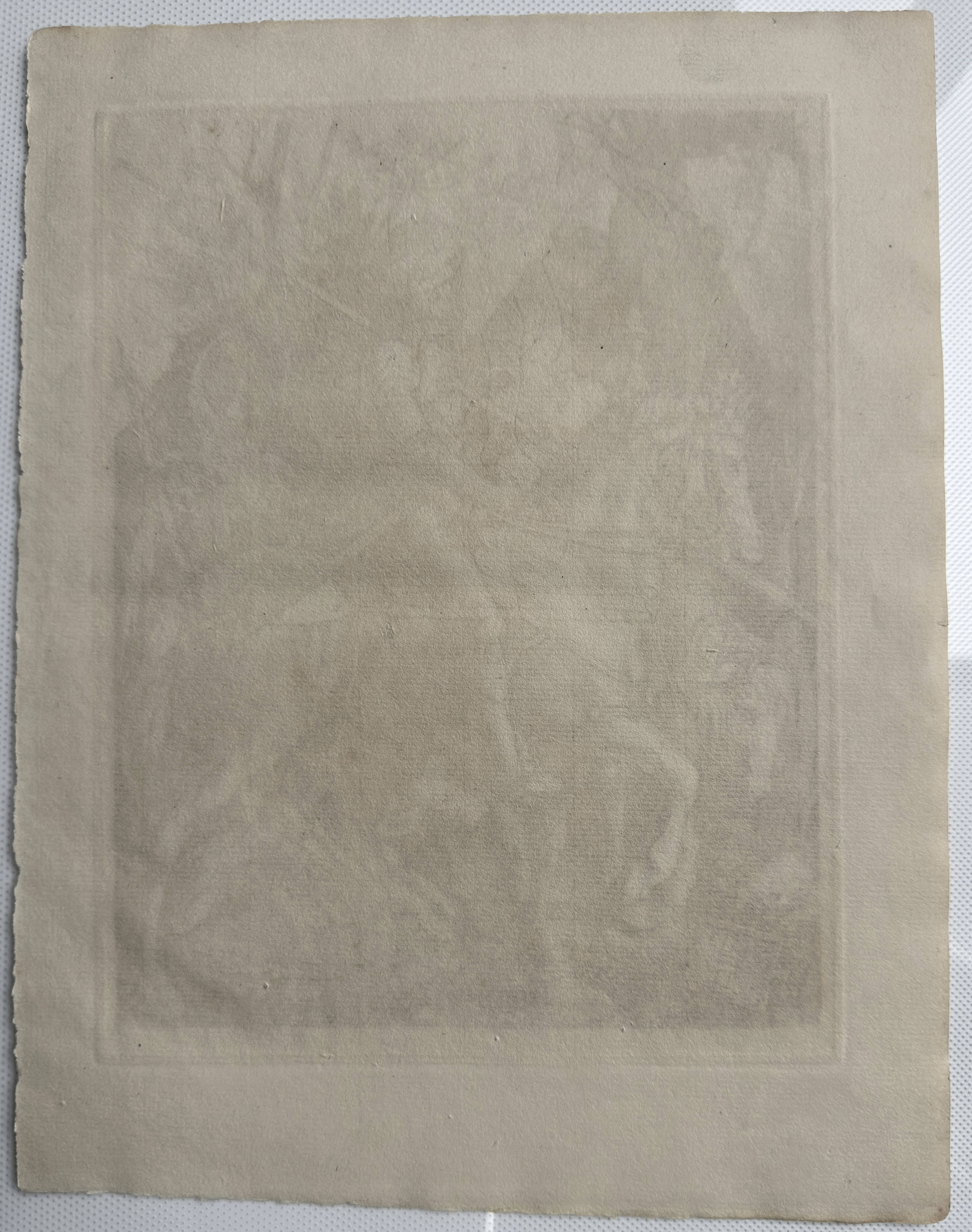 Figure 2. Full reverse (transmitted light)