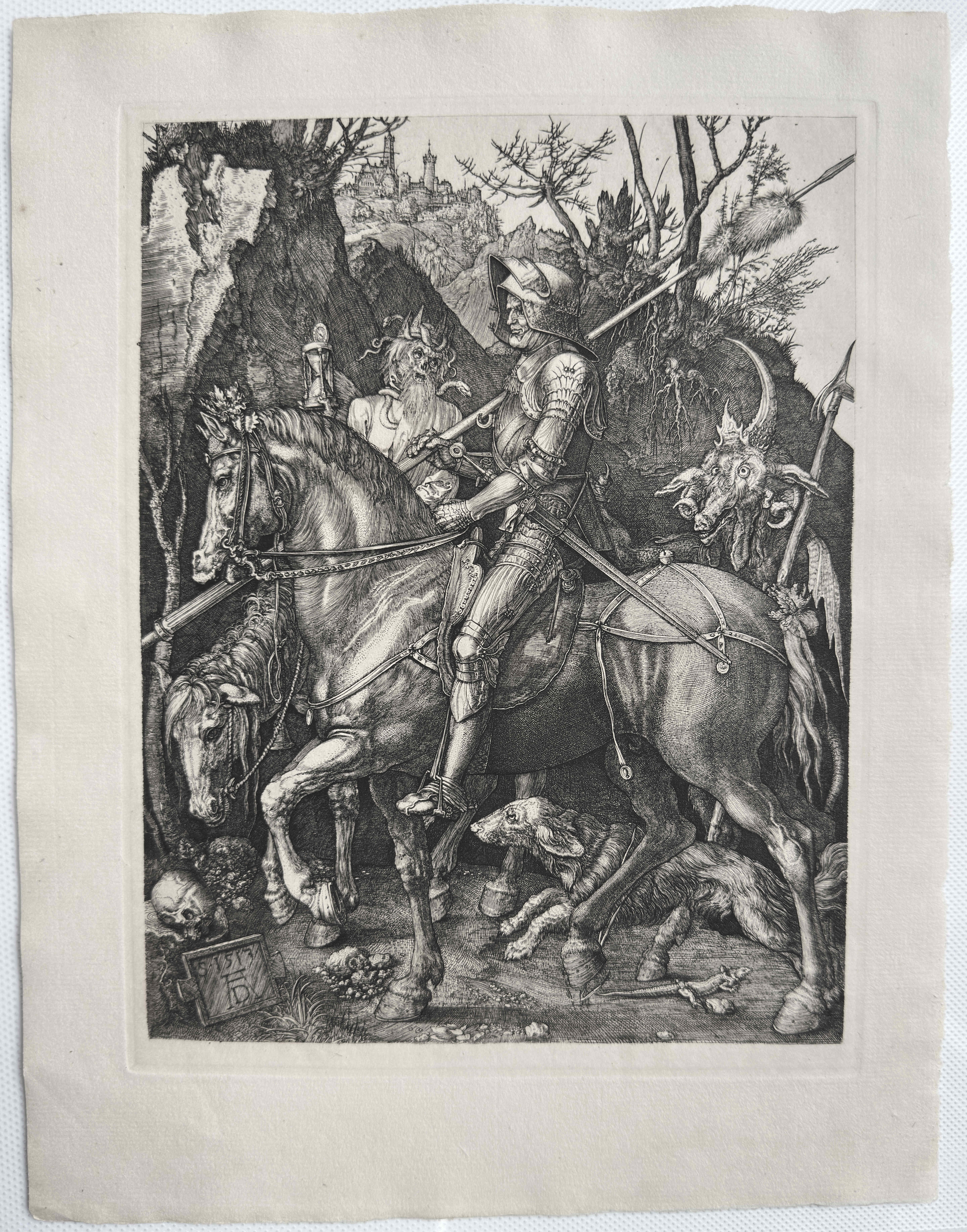 Figure 1. Full view of the print