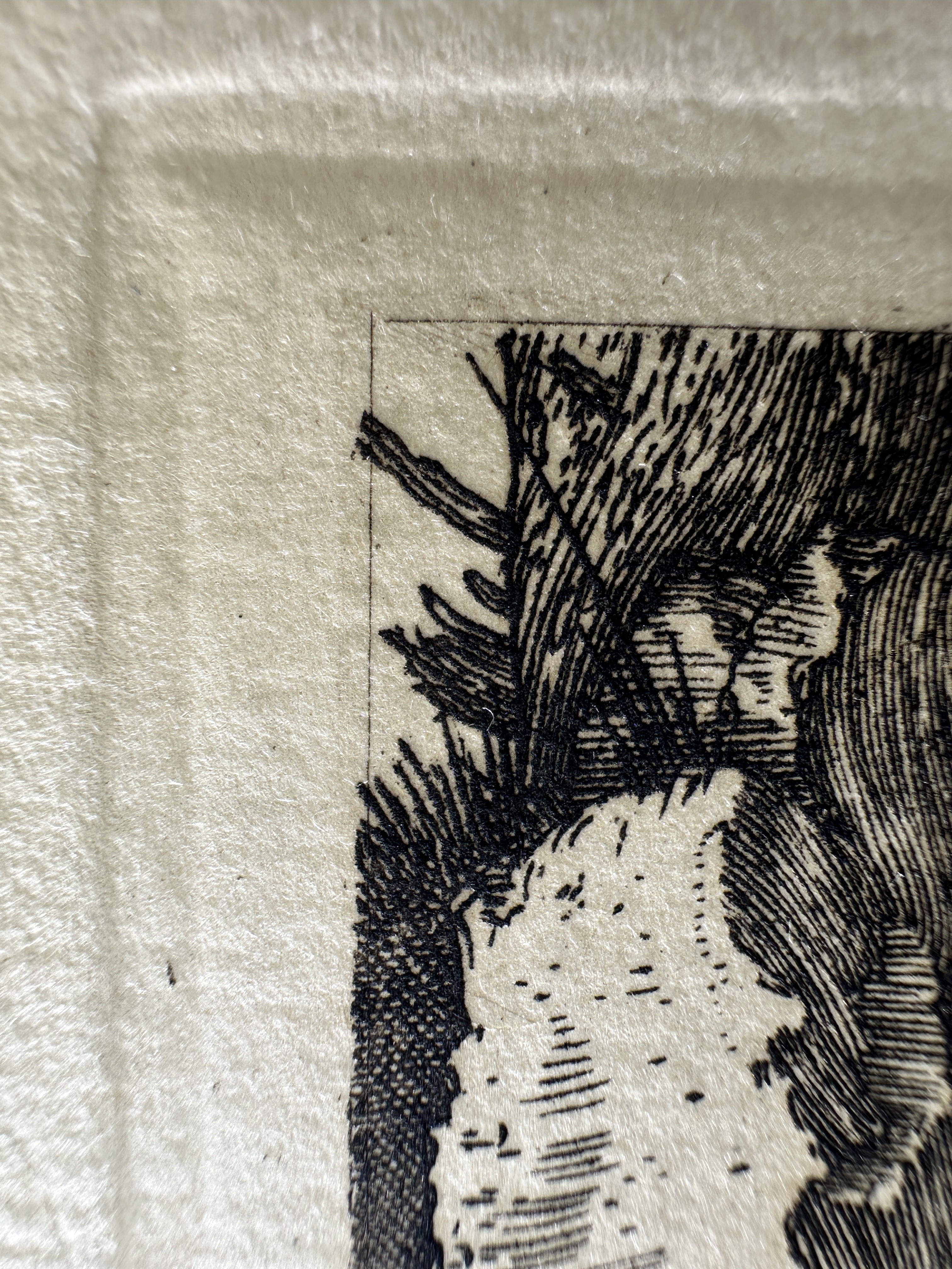 Platemark, upper left