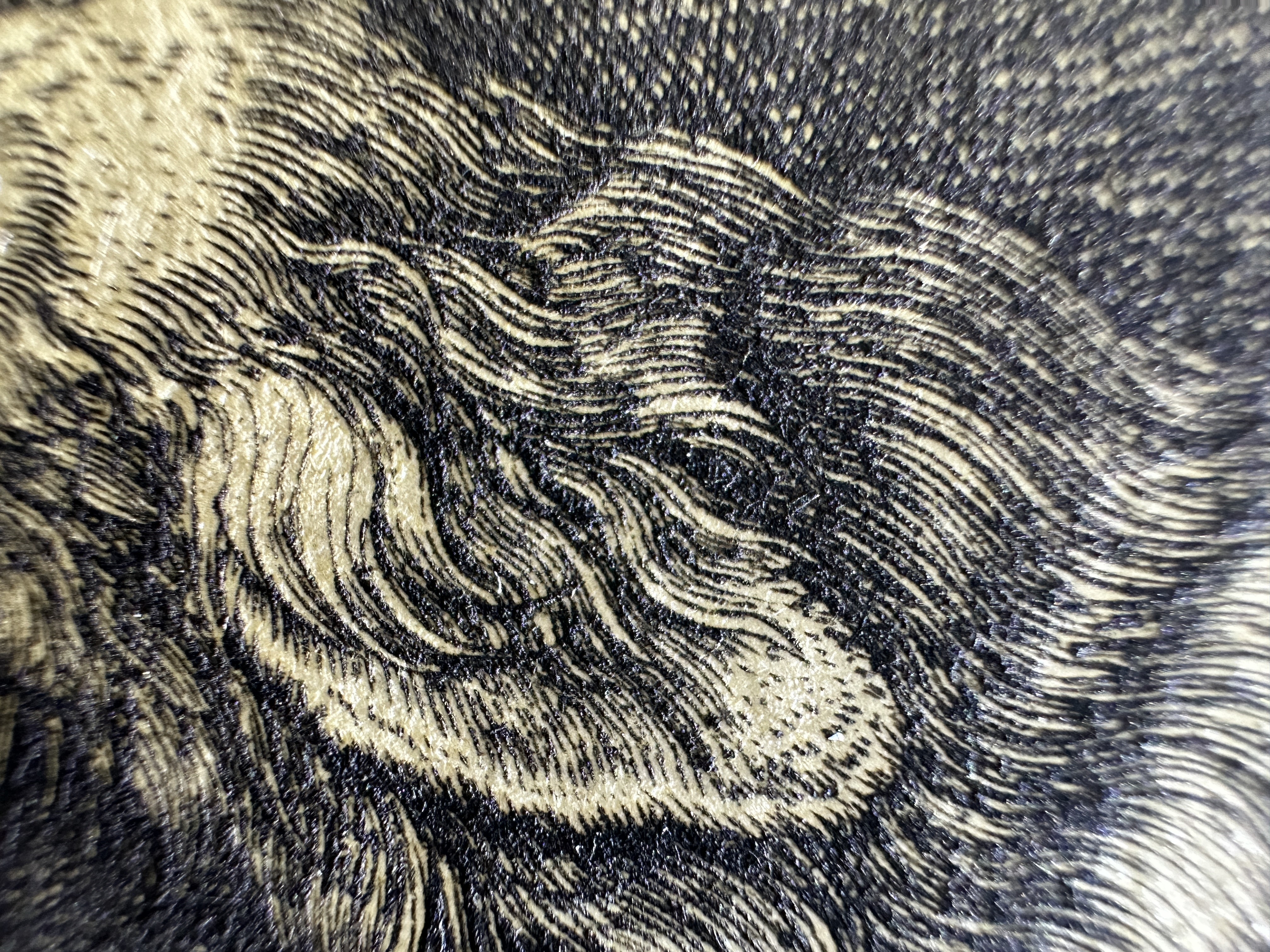 Fig.10 Macro Details