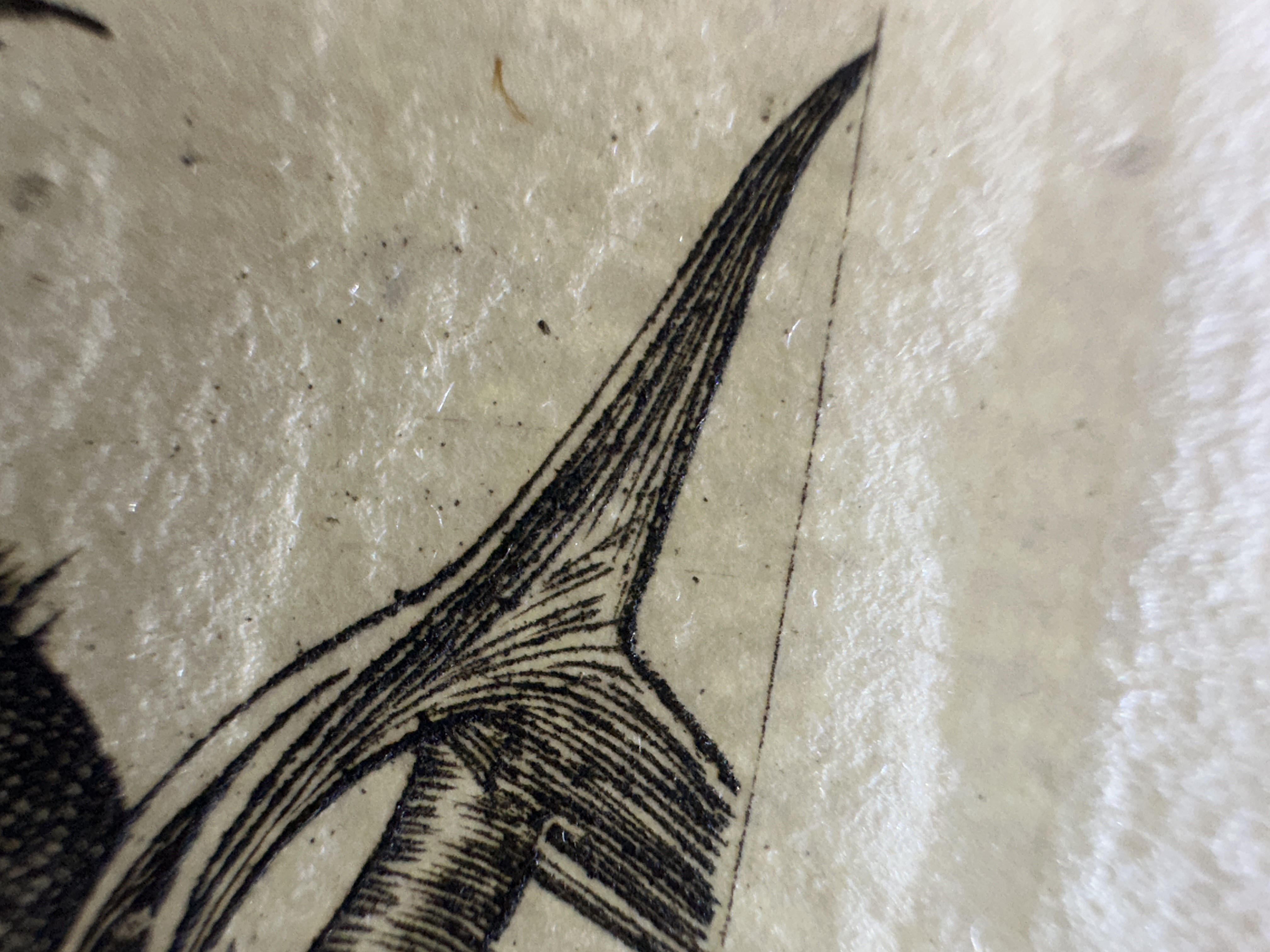 Fig.17 Macro Details