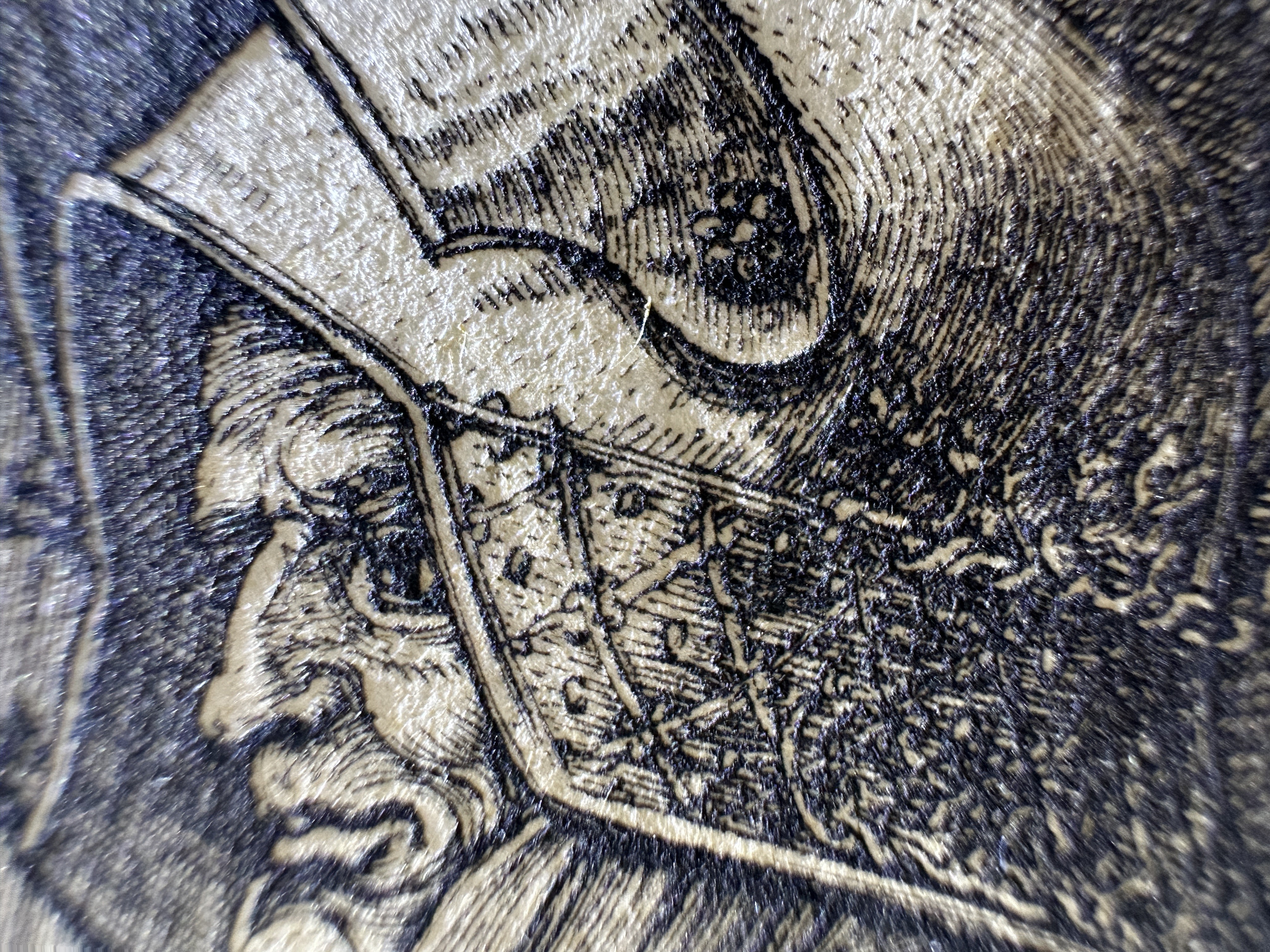 Fig.19 Macro Details