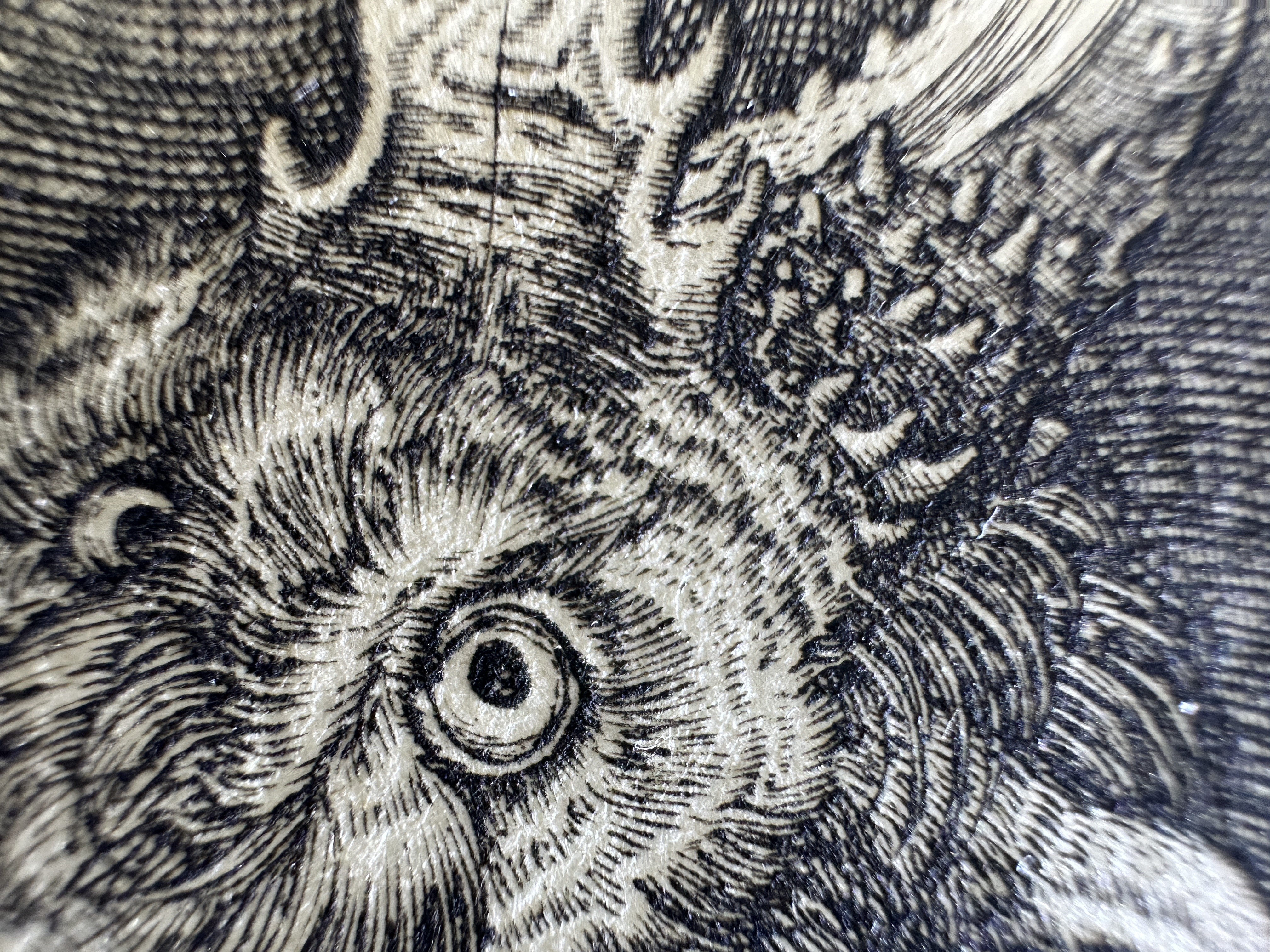 Fig.16 Macro Details