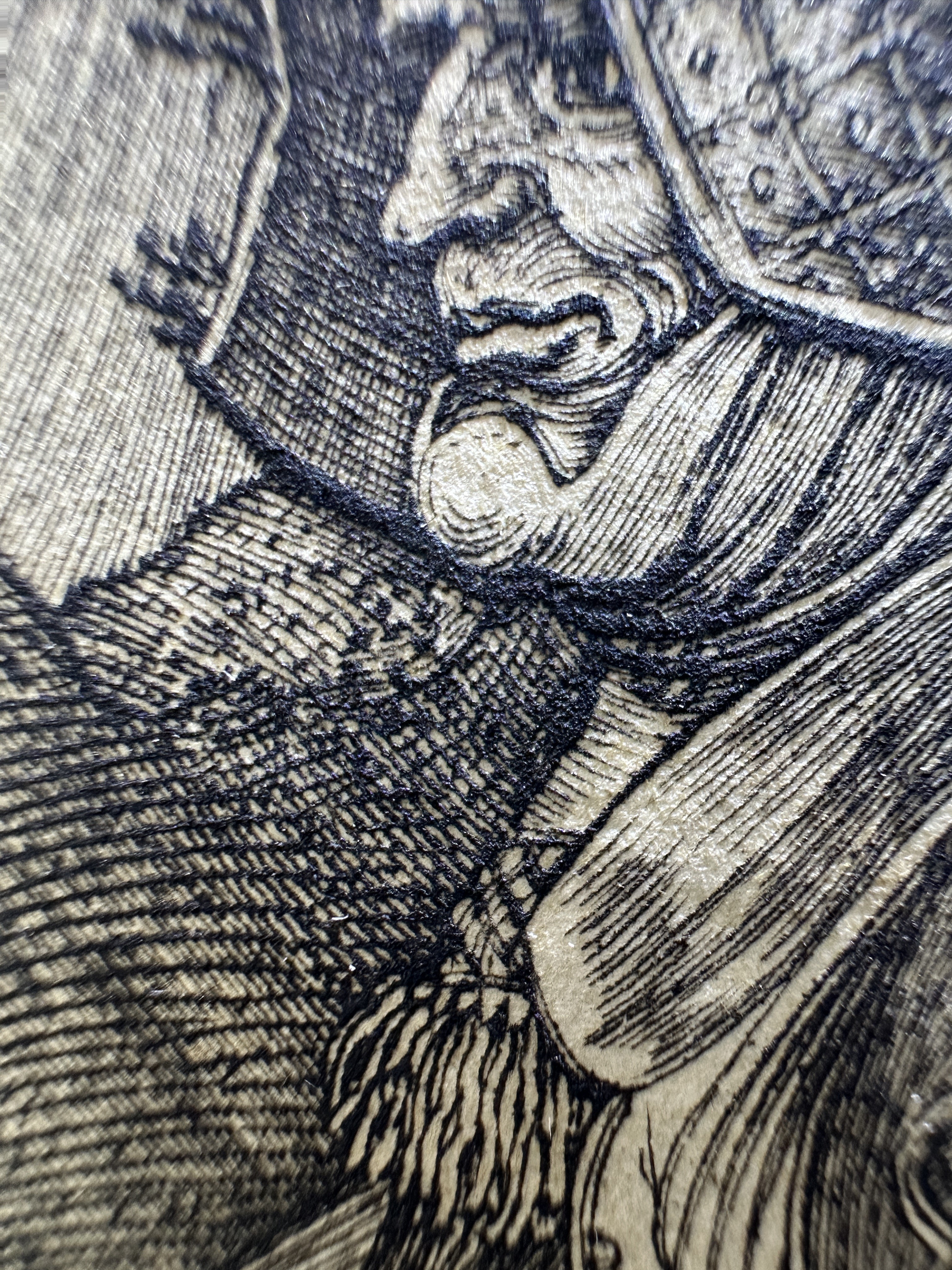 Fig.18 Macro Details