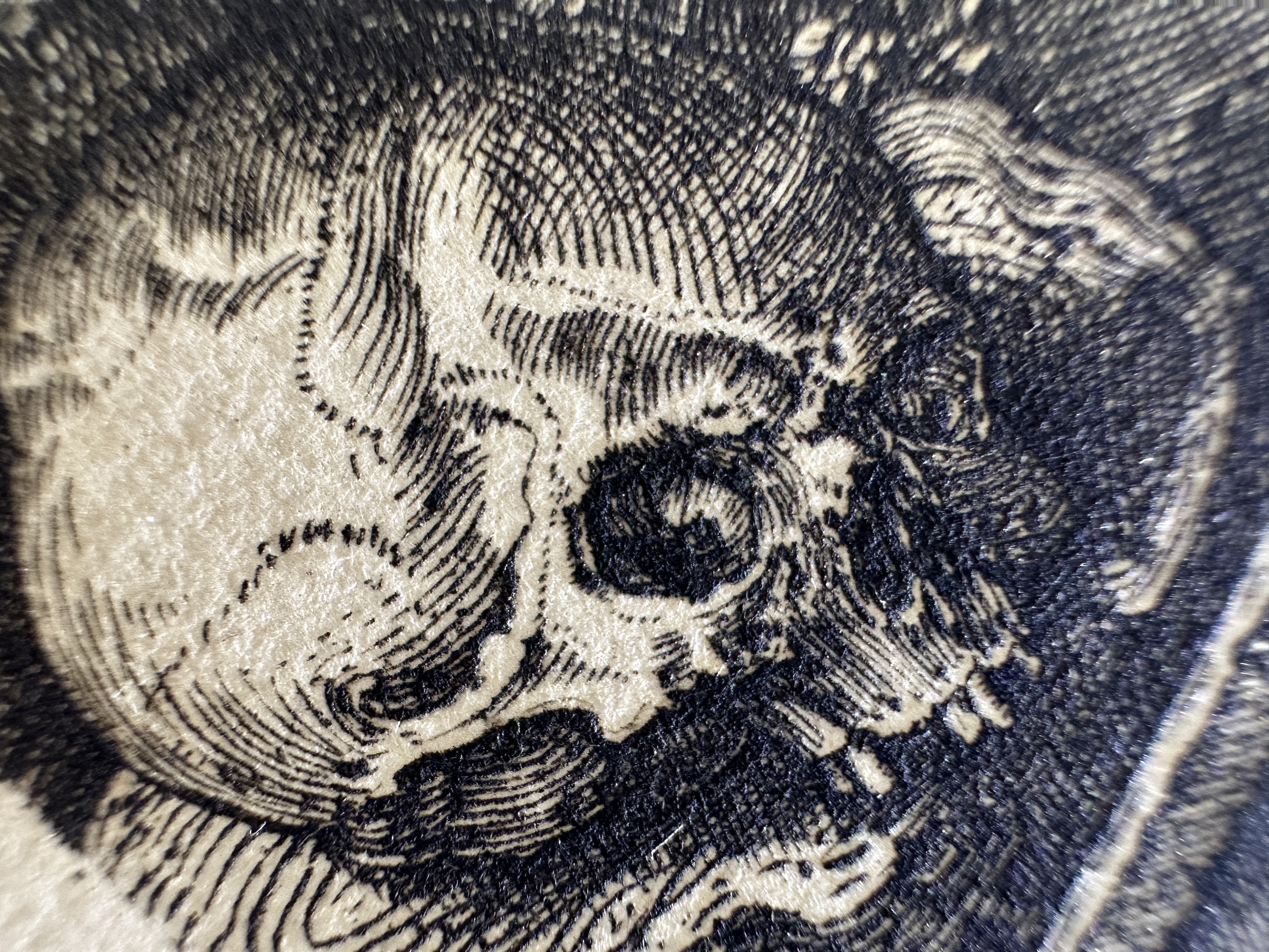 Fig.24 Macro Details