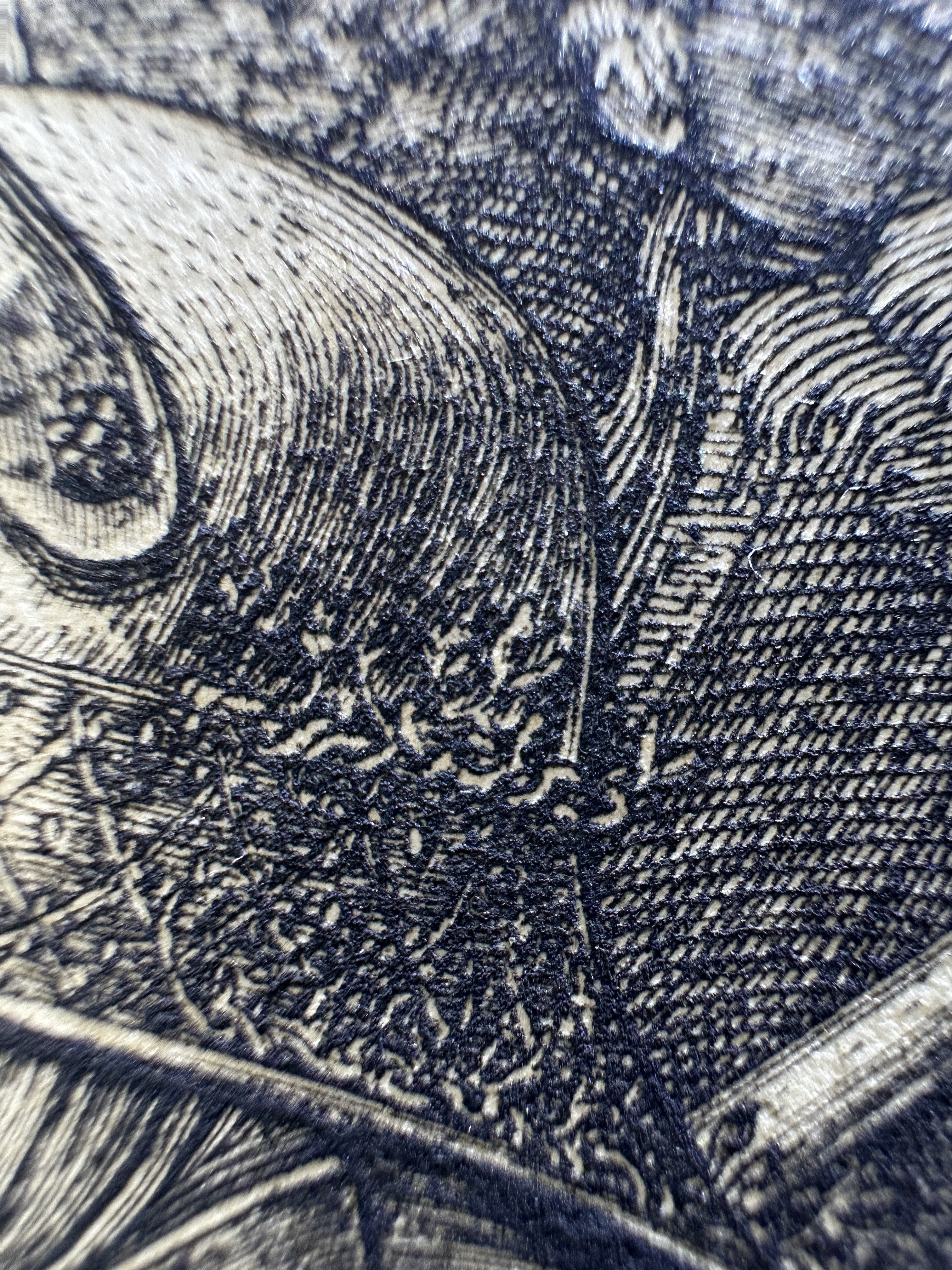 Fig.21 Macro Details