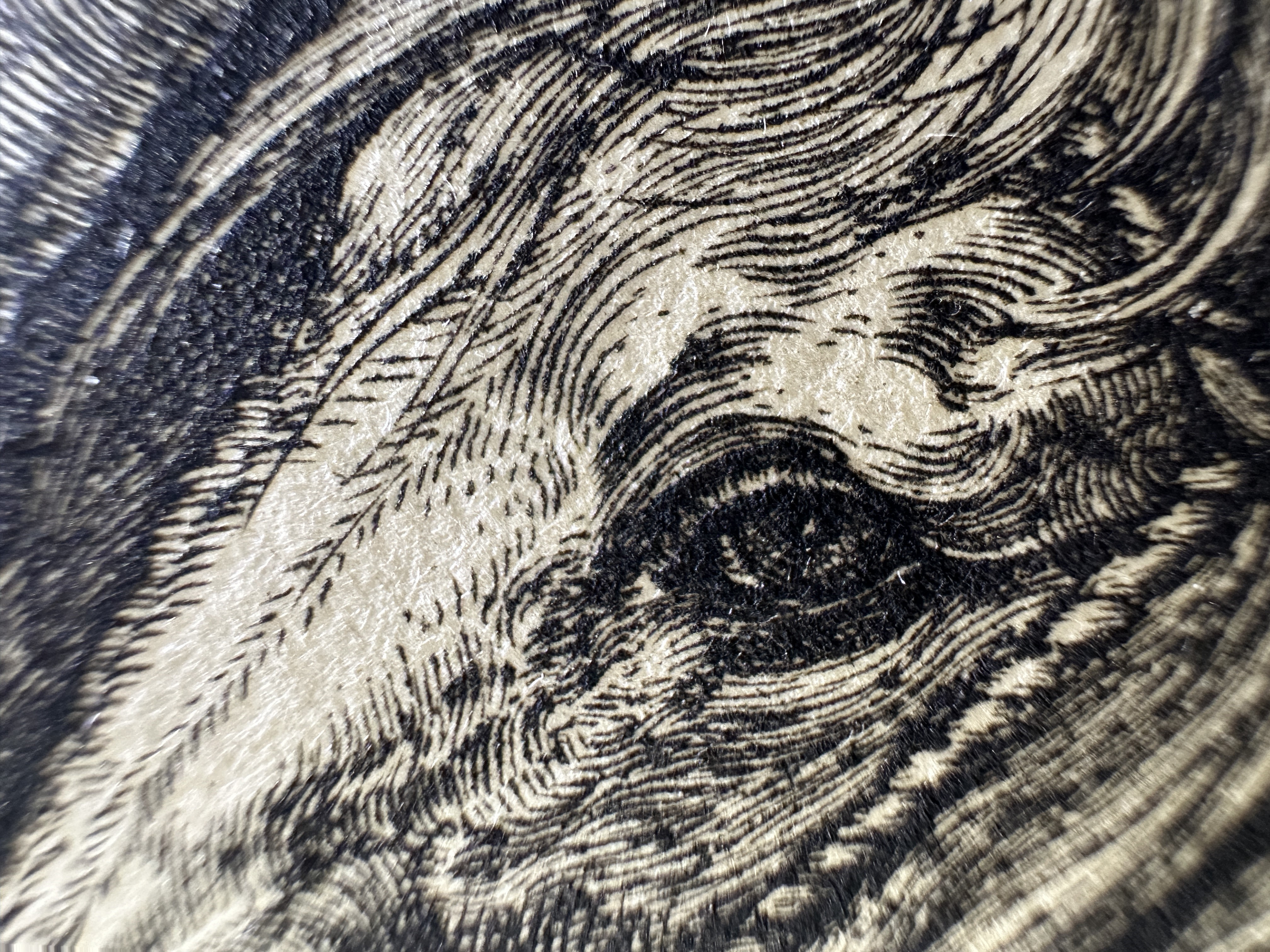 Fig.26 Macro Details