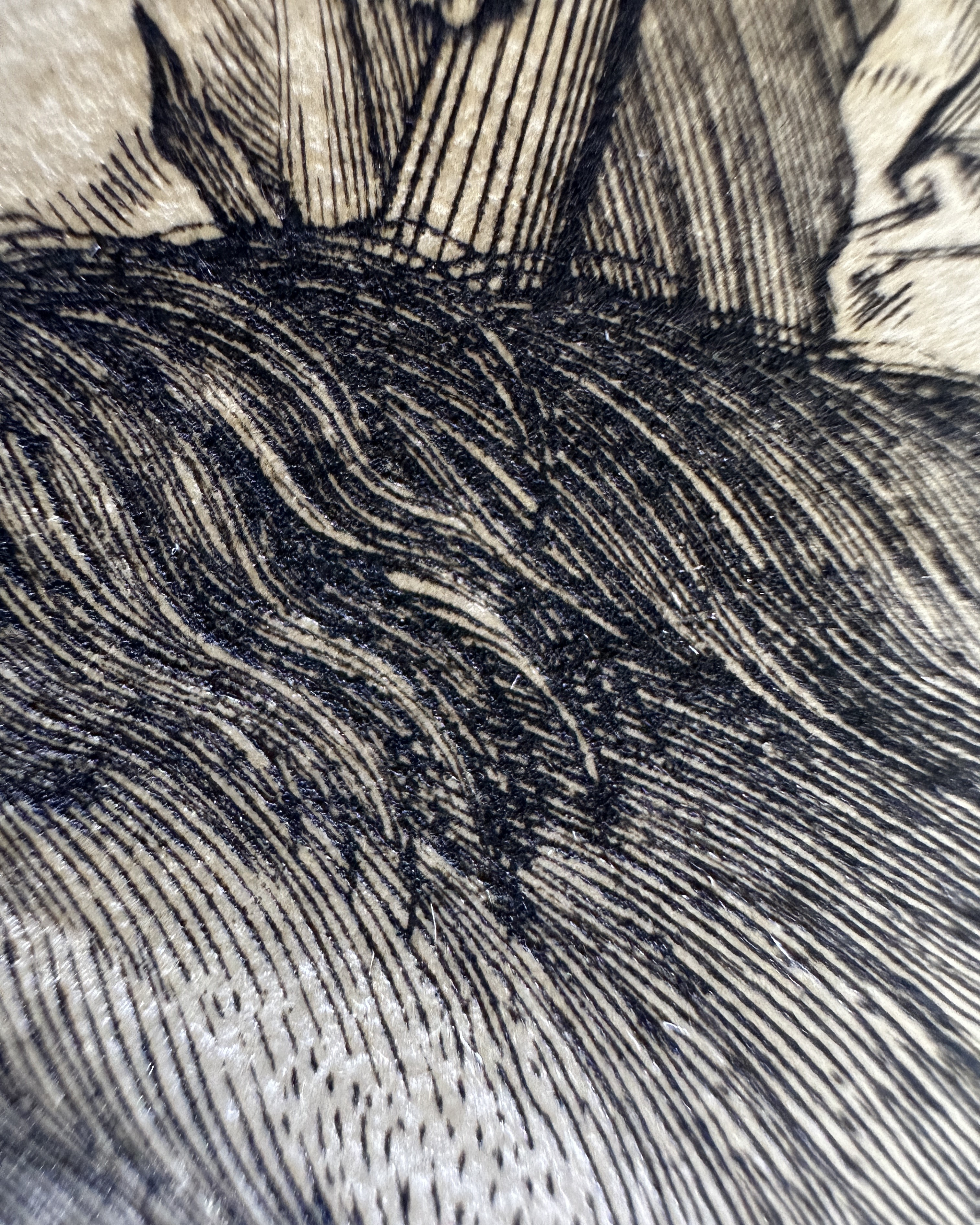 Fig.34 Macro Details