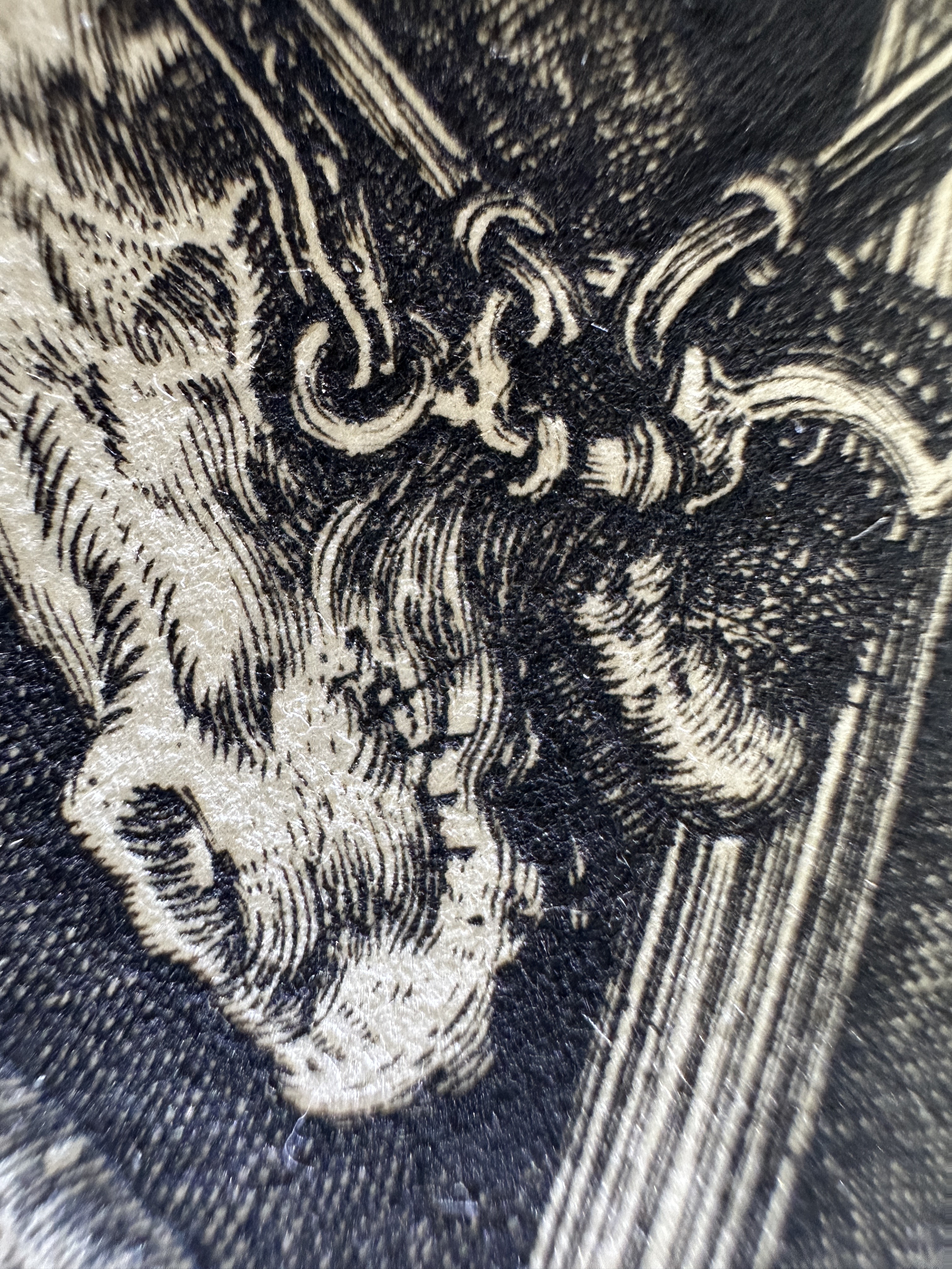 Fig.30 Macro Details