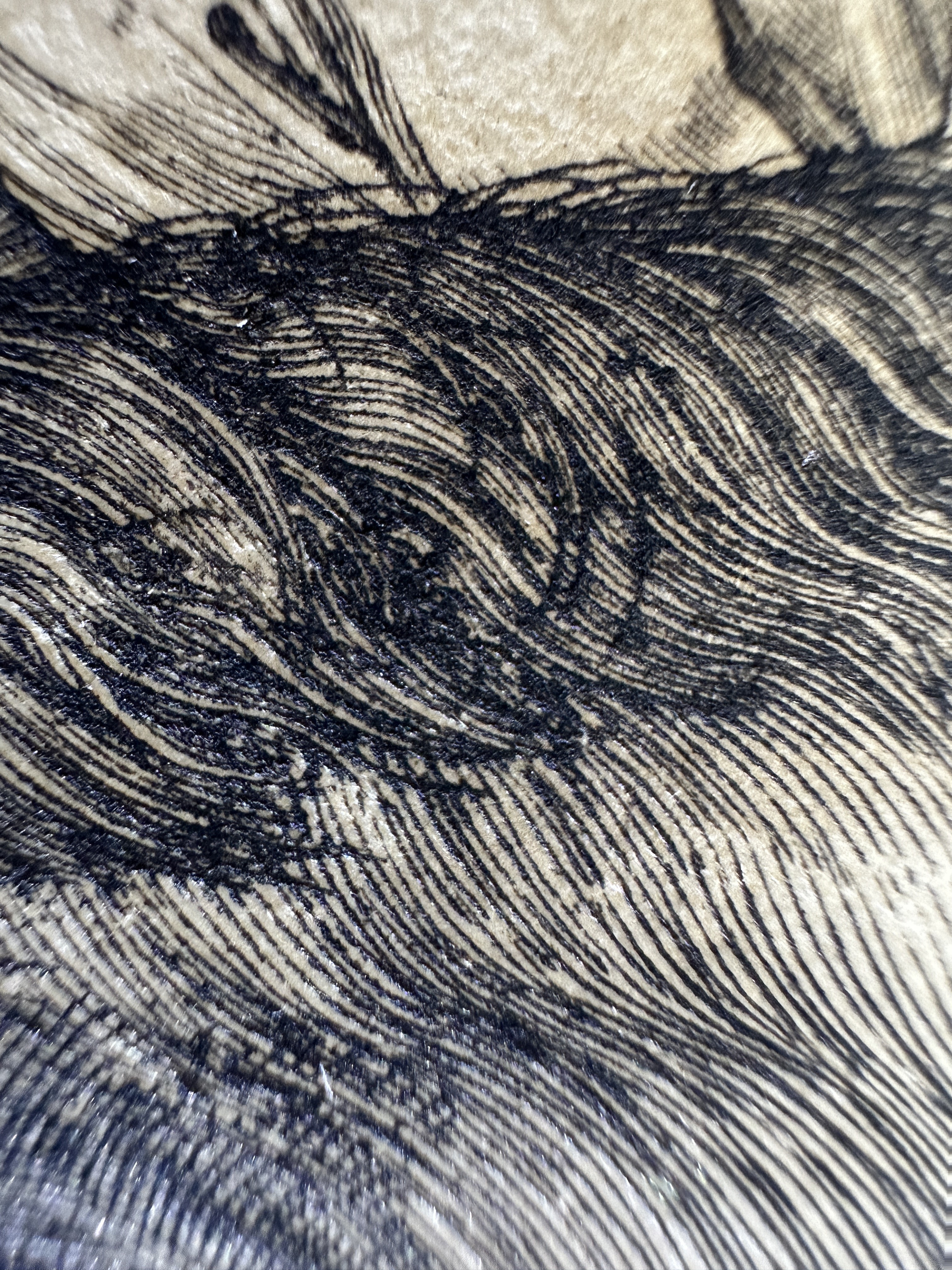 Fig.33 Macro Details