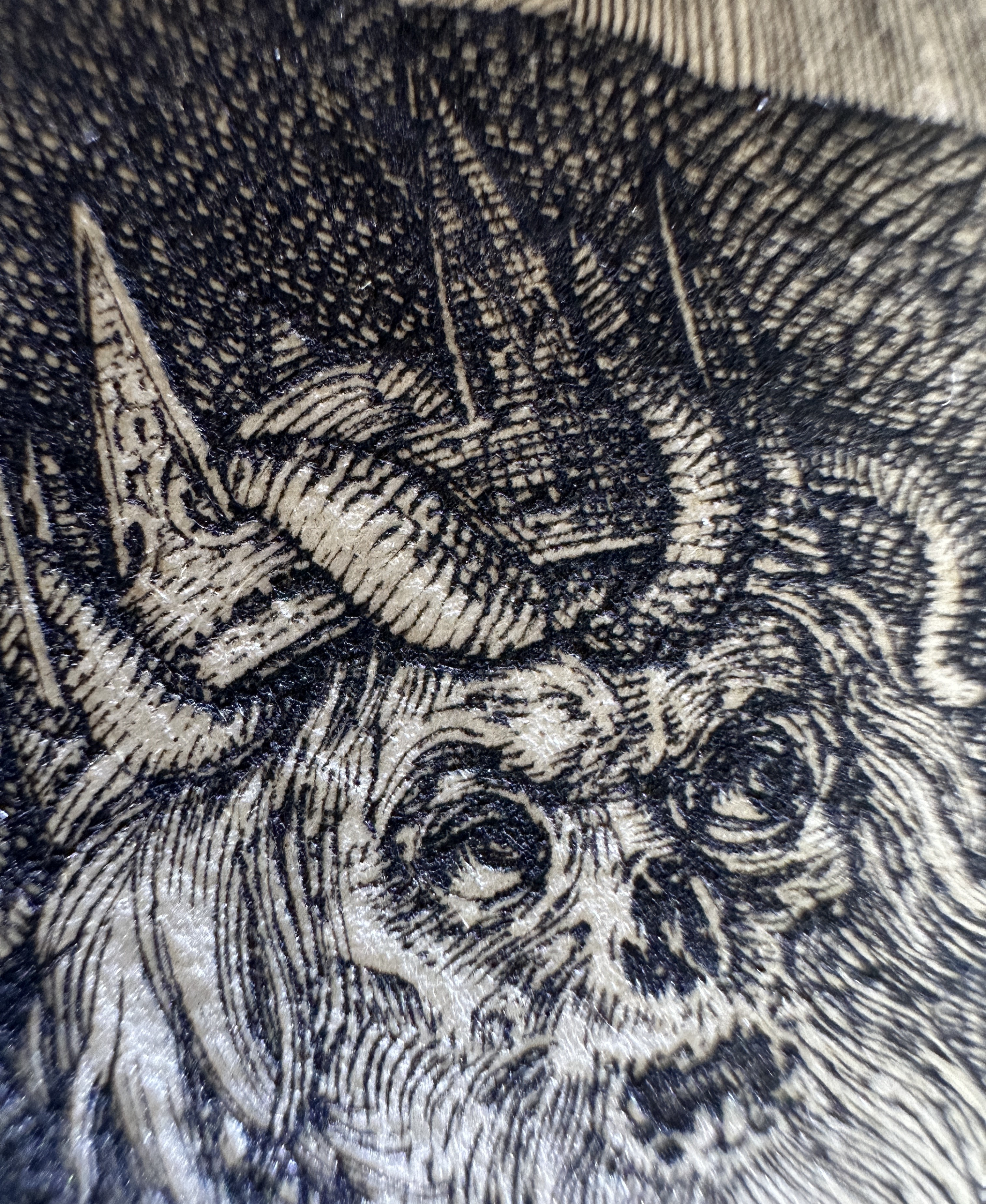 Fig.28 Macro Details