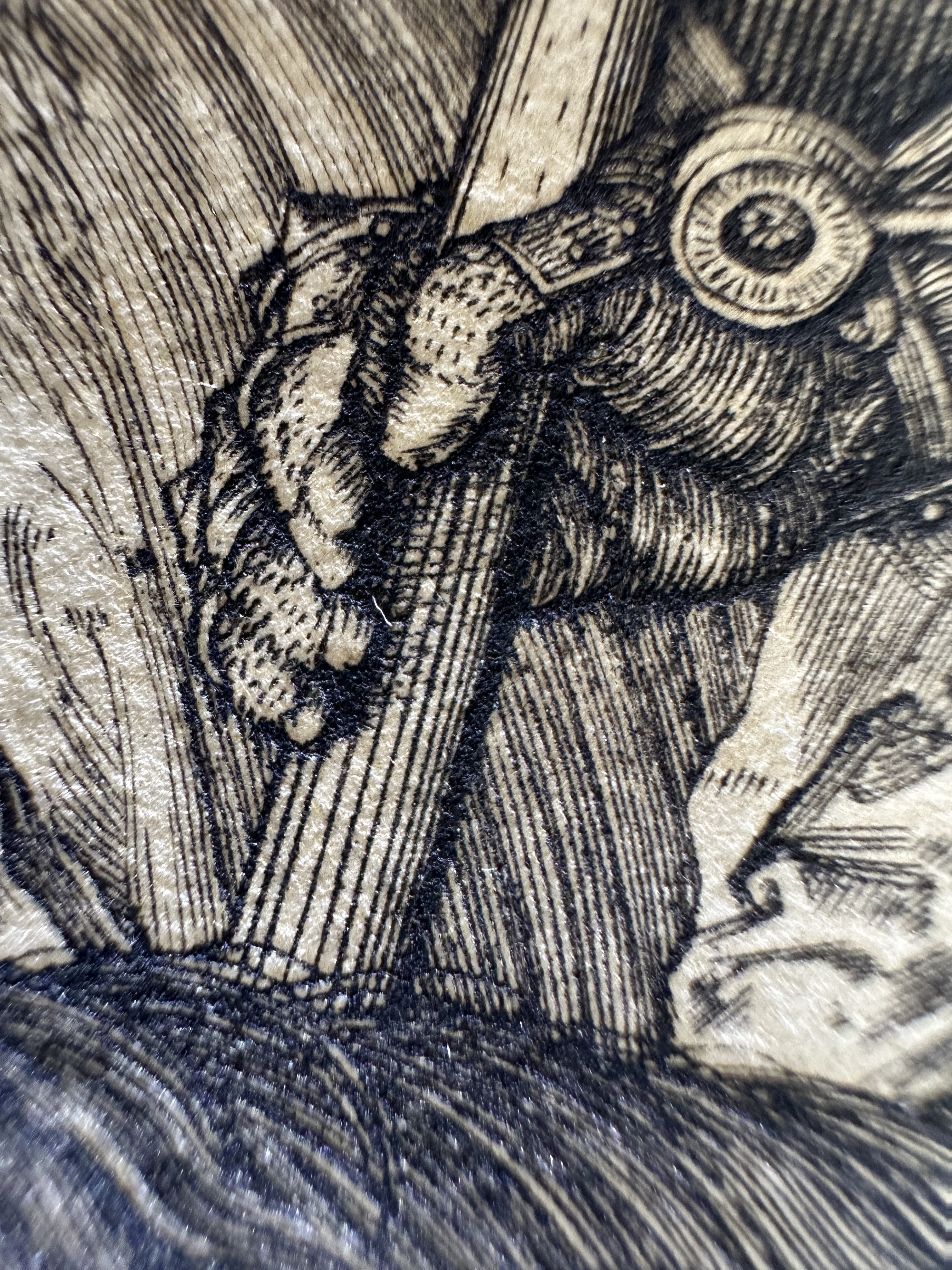 Fig.35 Macro Details