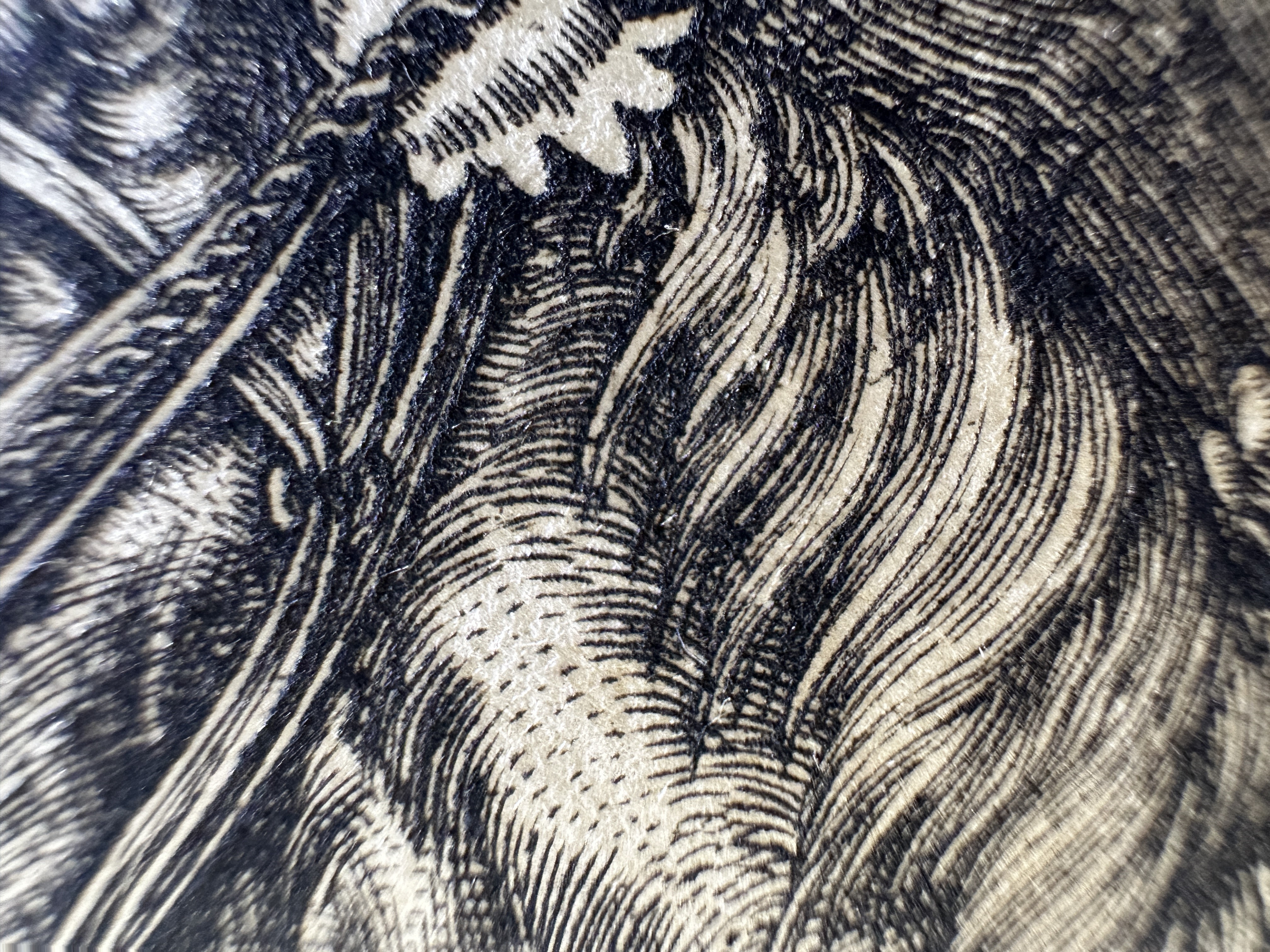 Fig.31 Macro Details