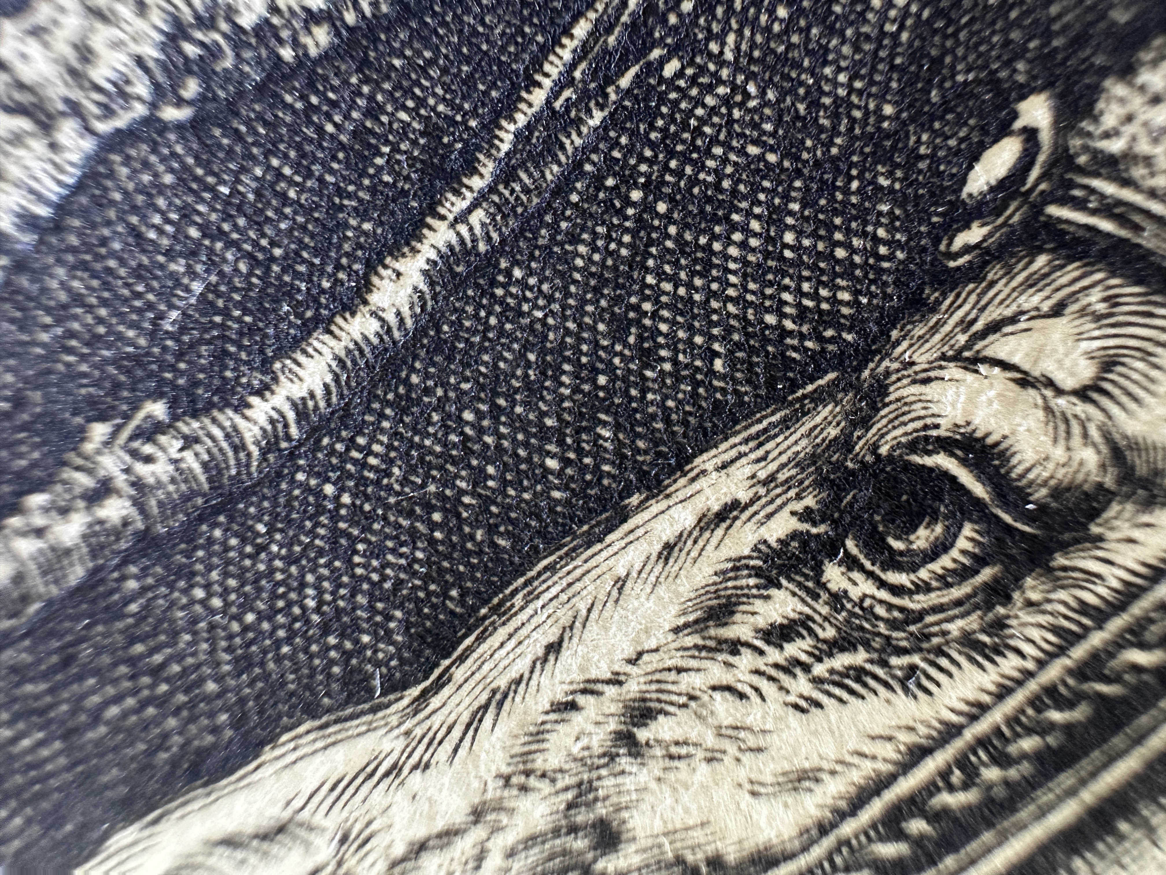 Fig.29 Macro Details