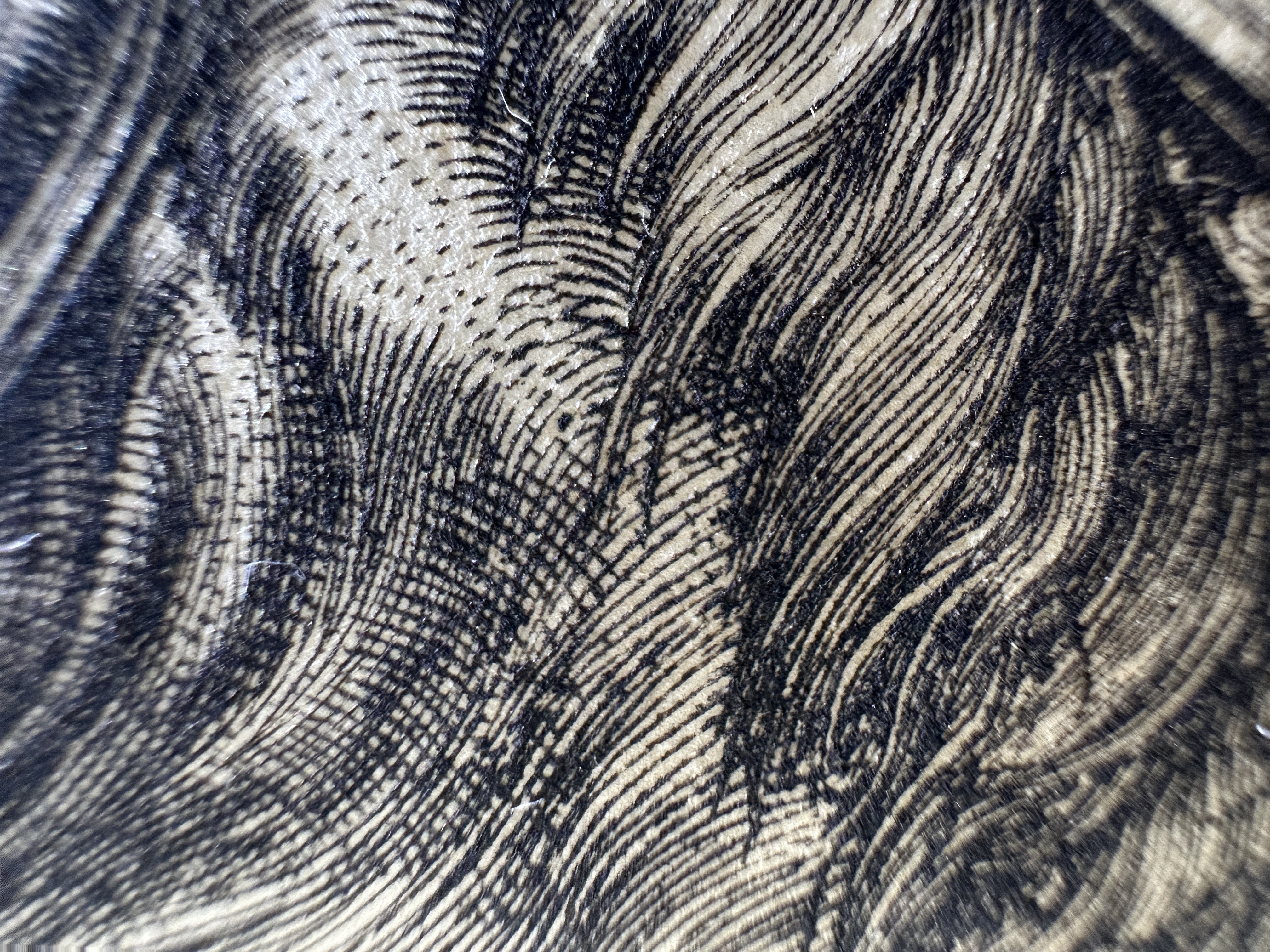 Fig.32 Macro Details