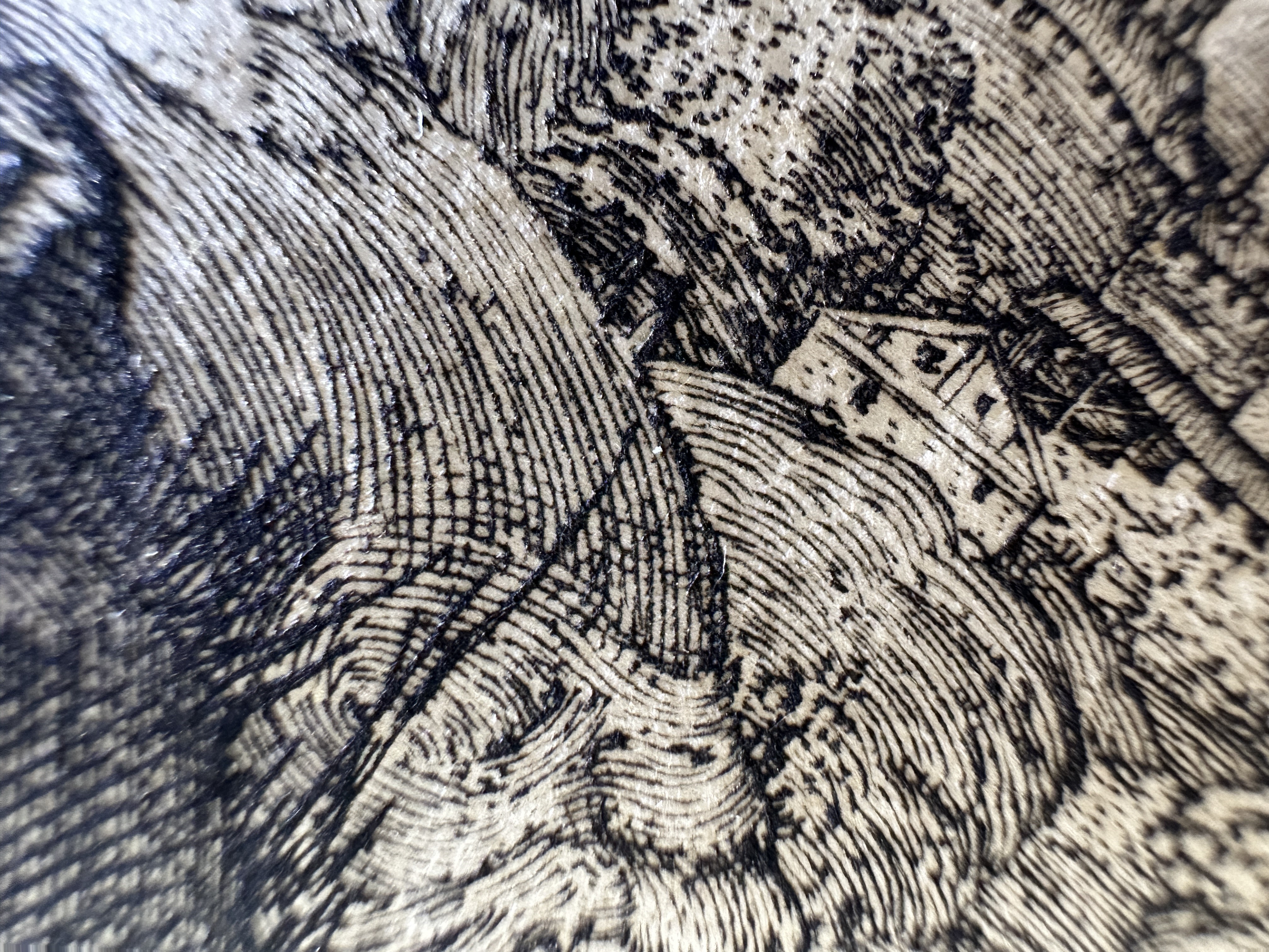 Fig.36 Macro Details