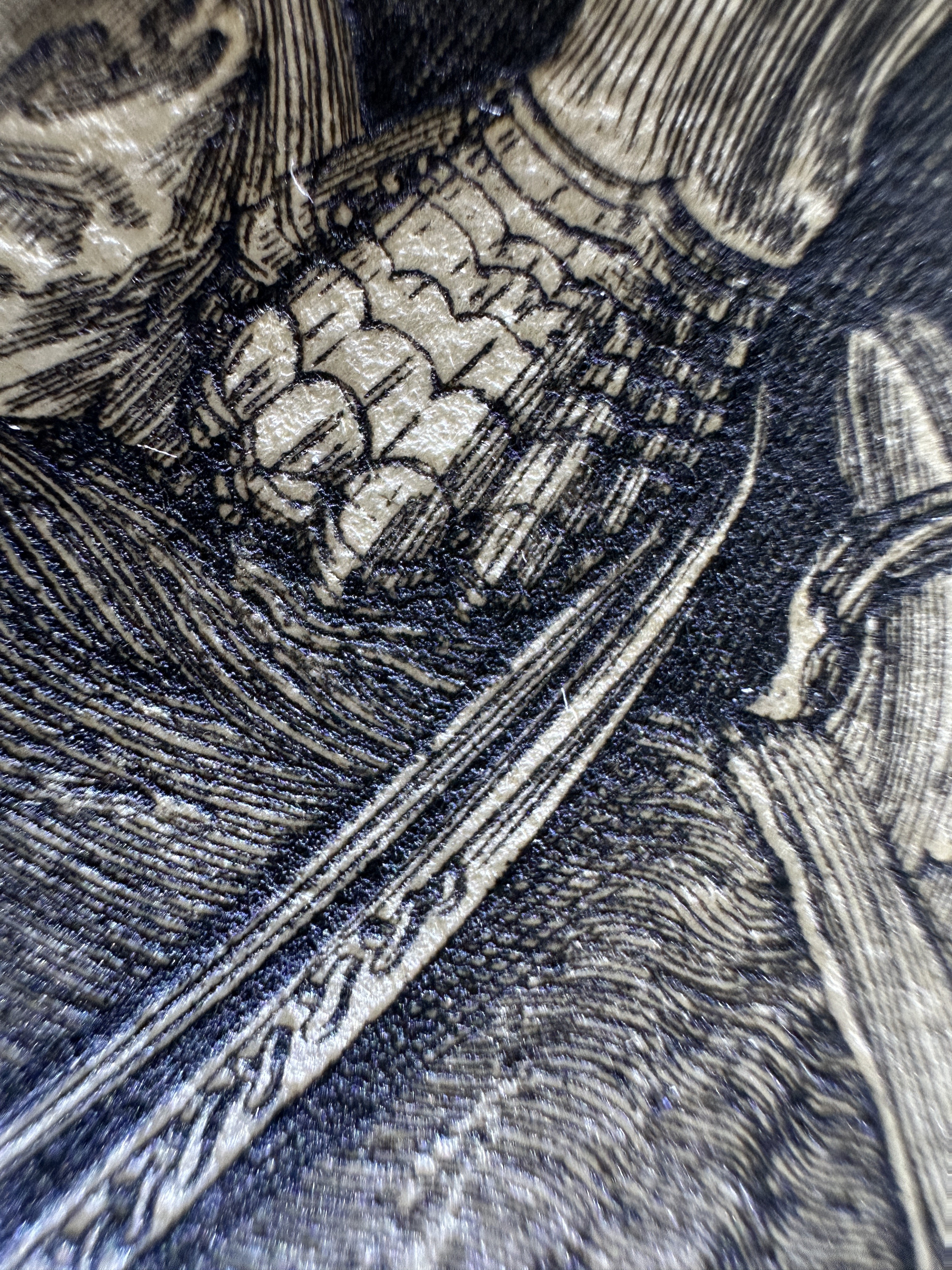 Fig.41 Macro Details