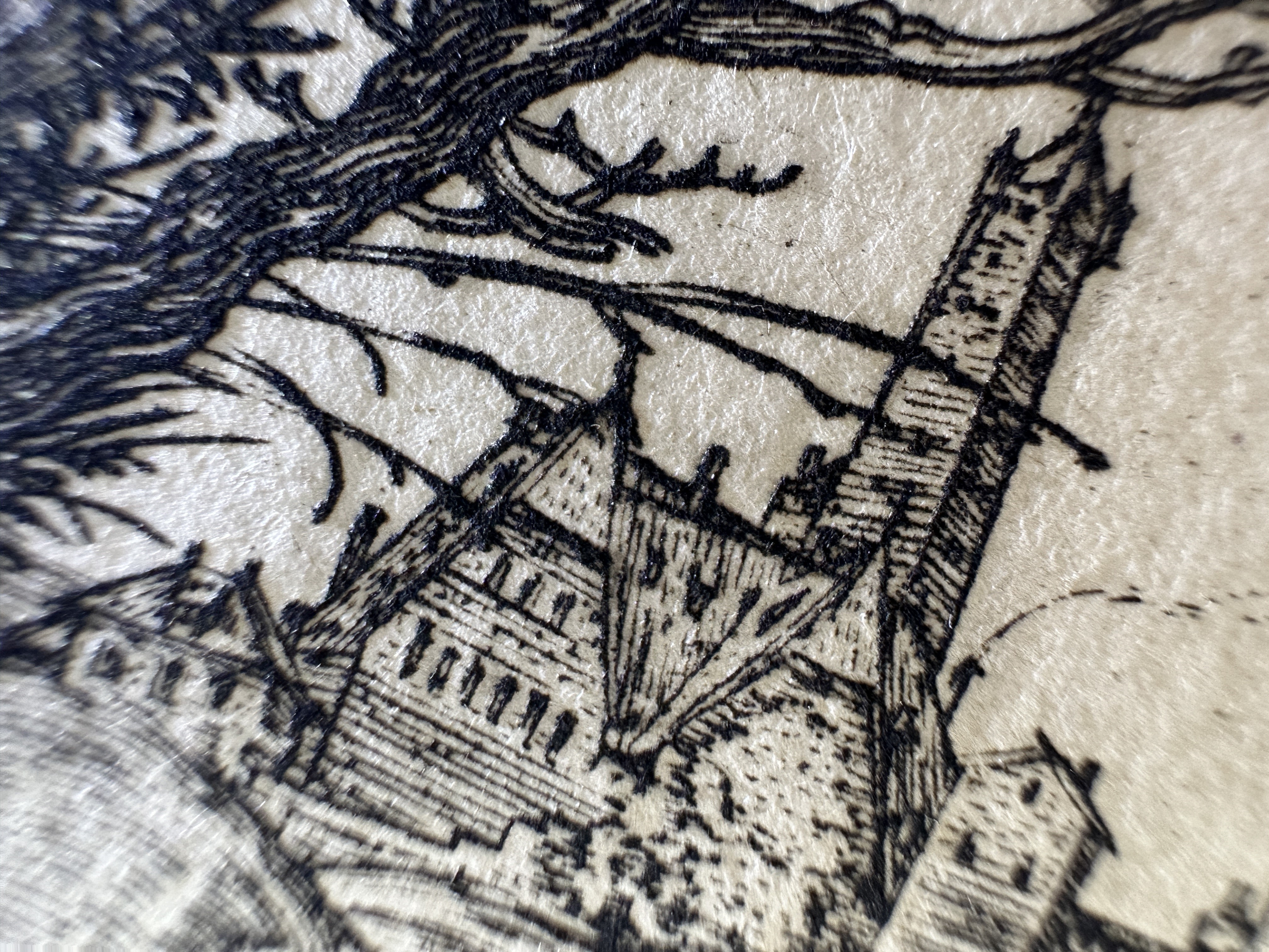 Fig.38 Macro Details