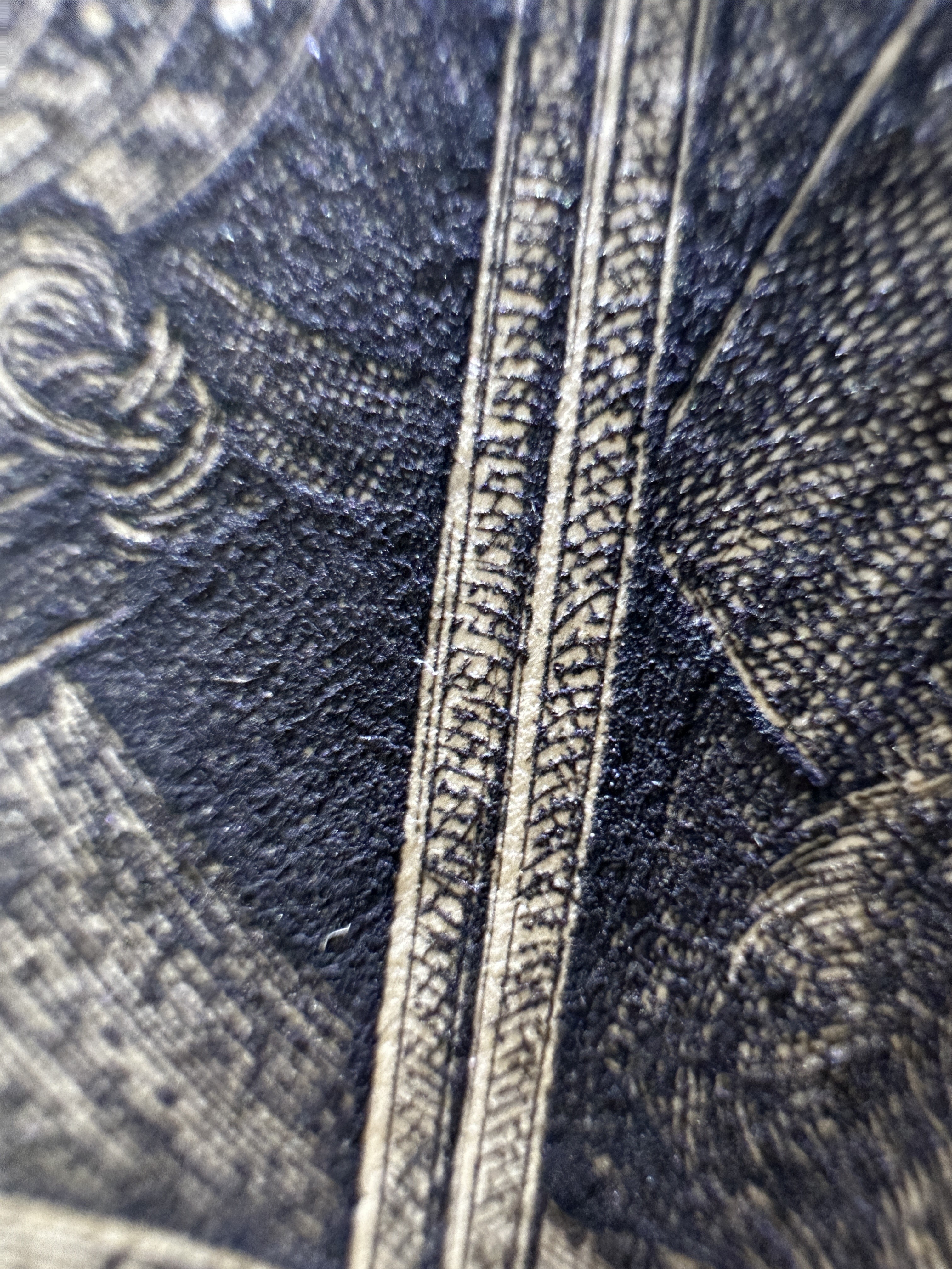 Fig.44 Macro Details