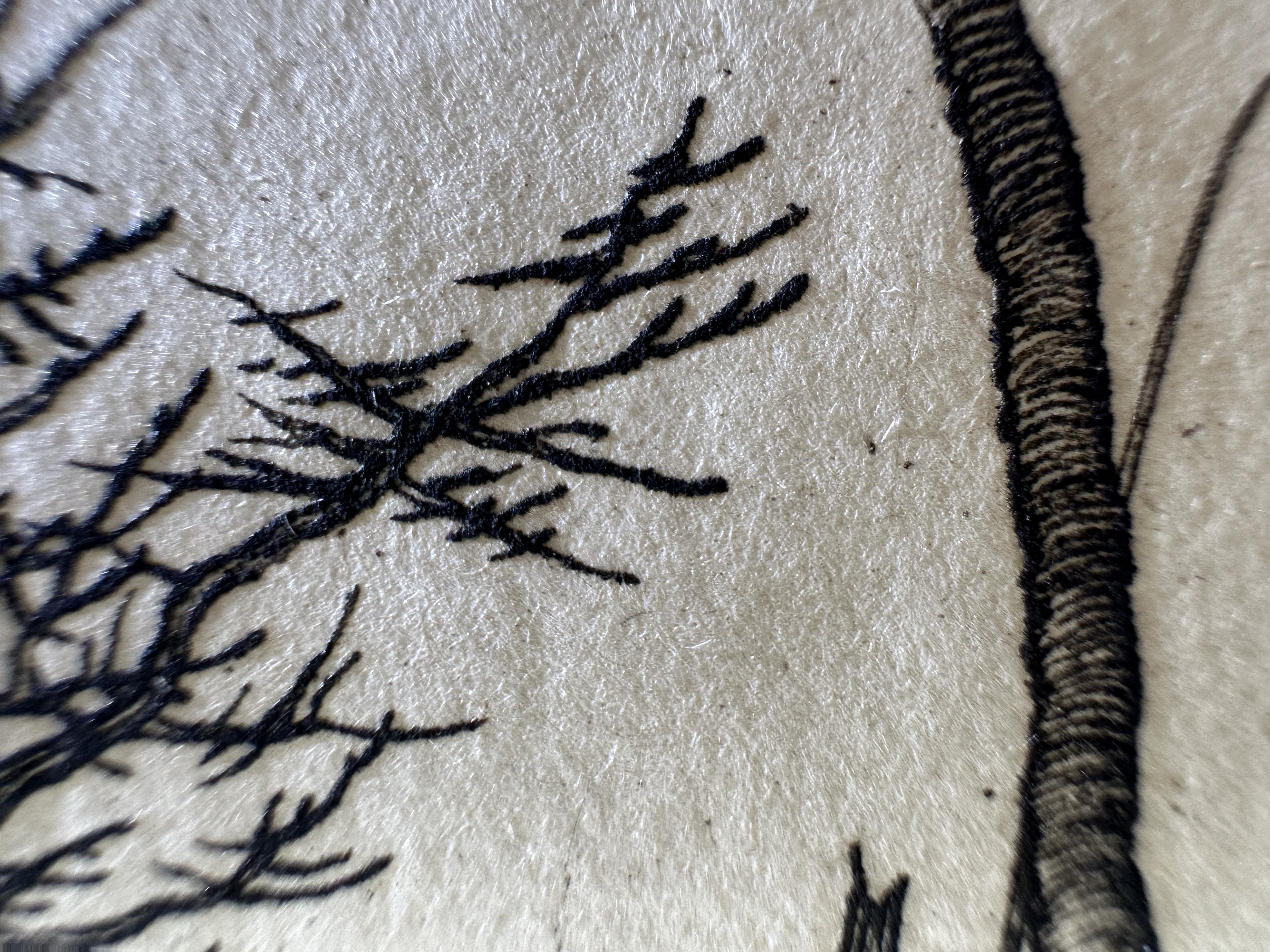 Fig.48 Macro Details