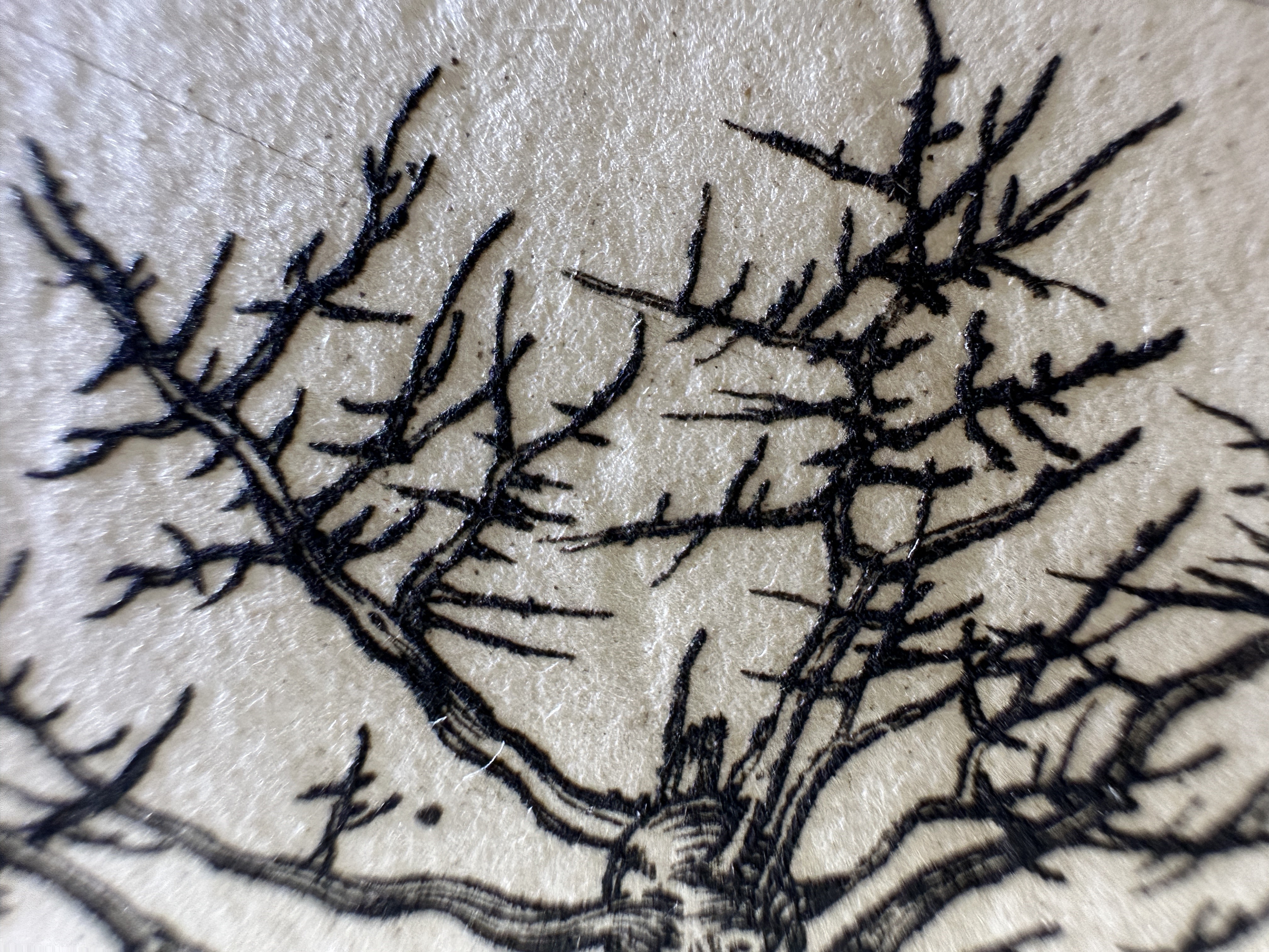 Fig.47 Macro Details