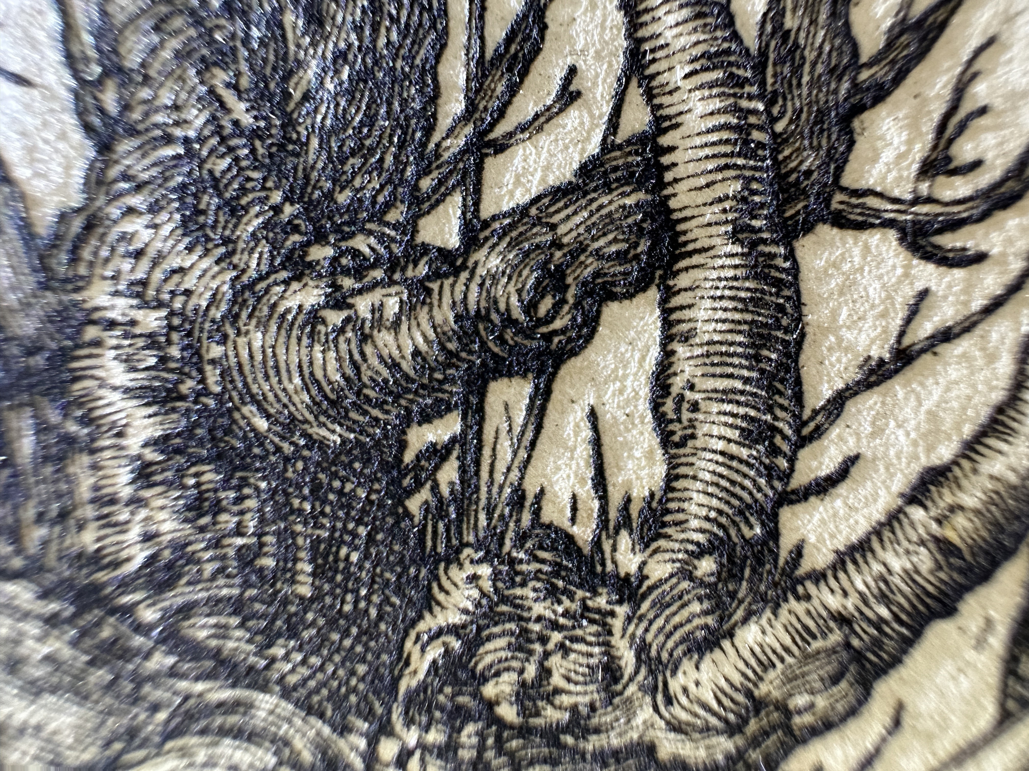 Fig.51 Macro Details